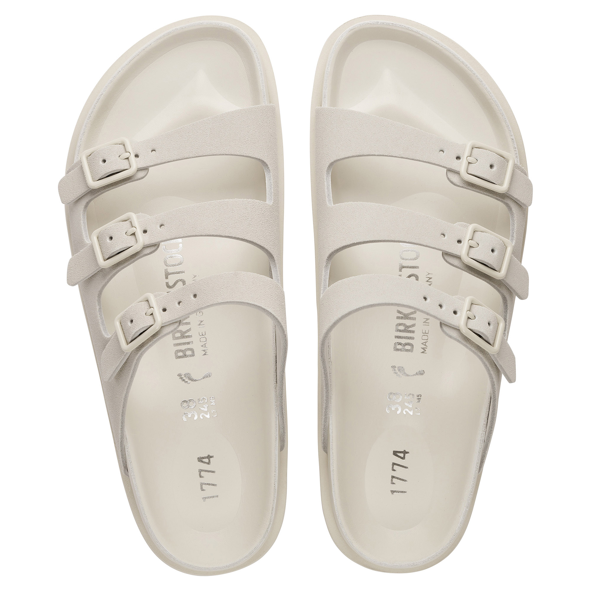 1774 III Florida - Bone