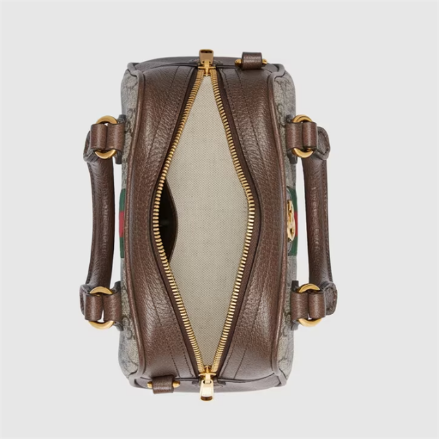 Ophidia mini GG top handle bag