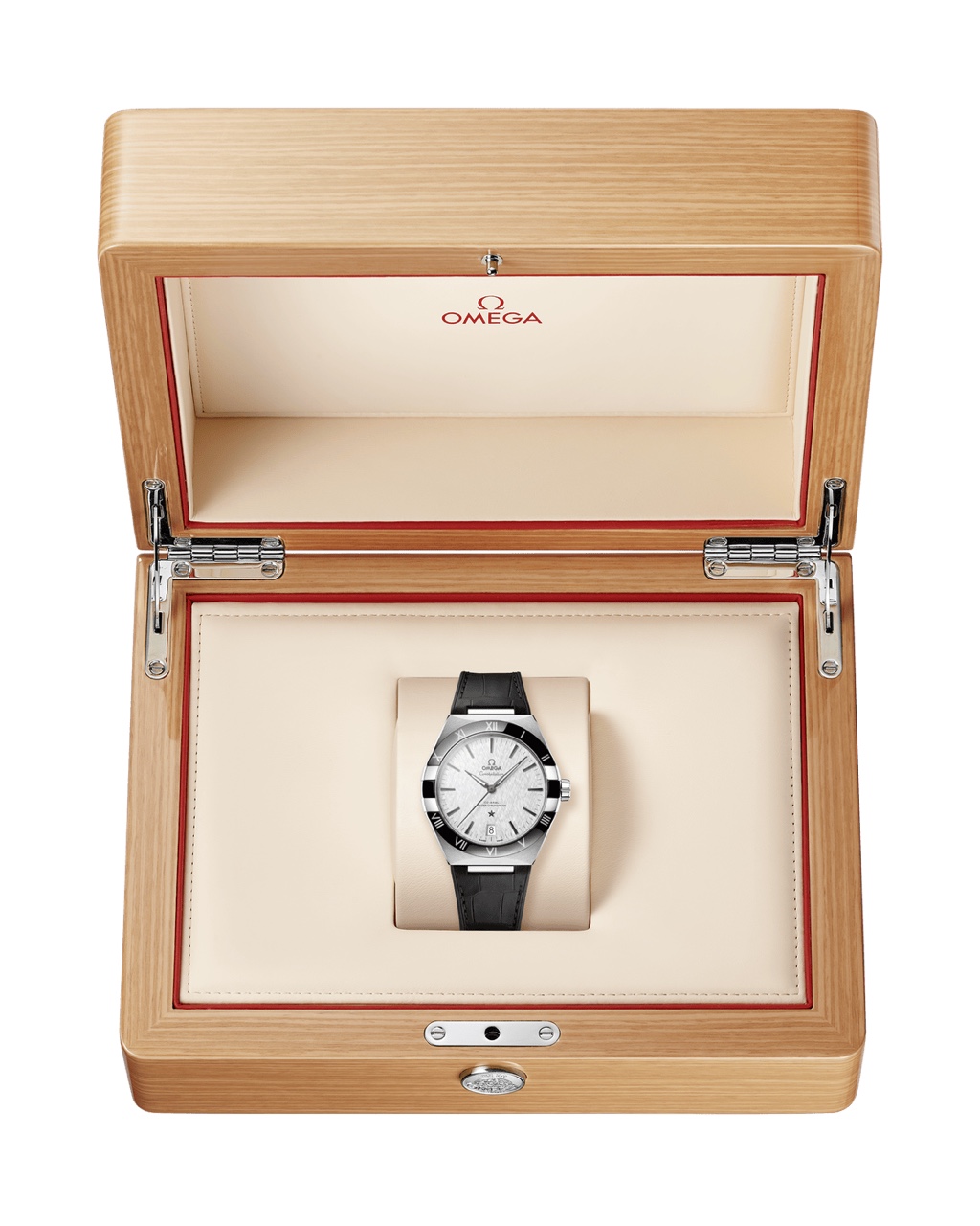 CONSTELLATION STEEL ON LEATHER STRAP 41 MM