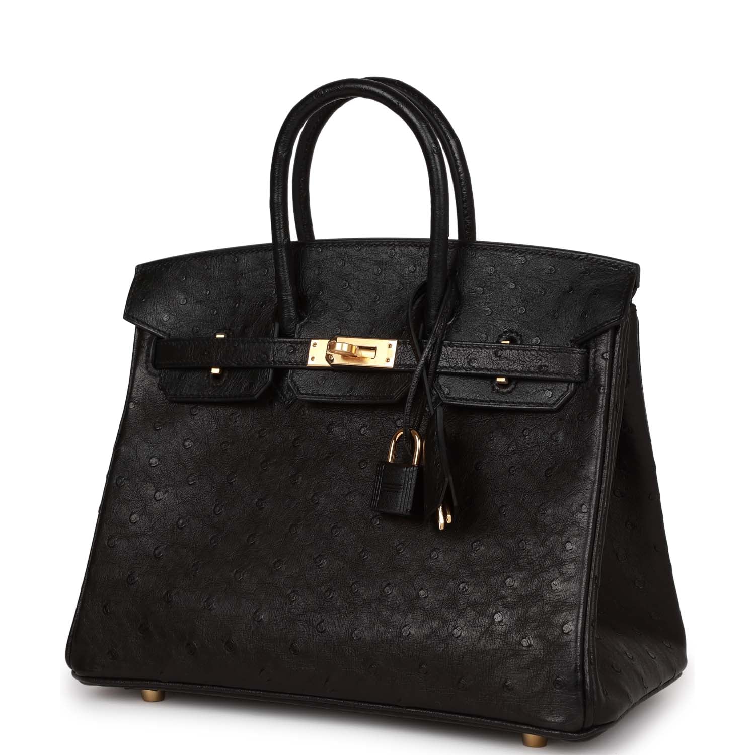 Her Birkin 25 Black Ostrich Gold Hardware