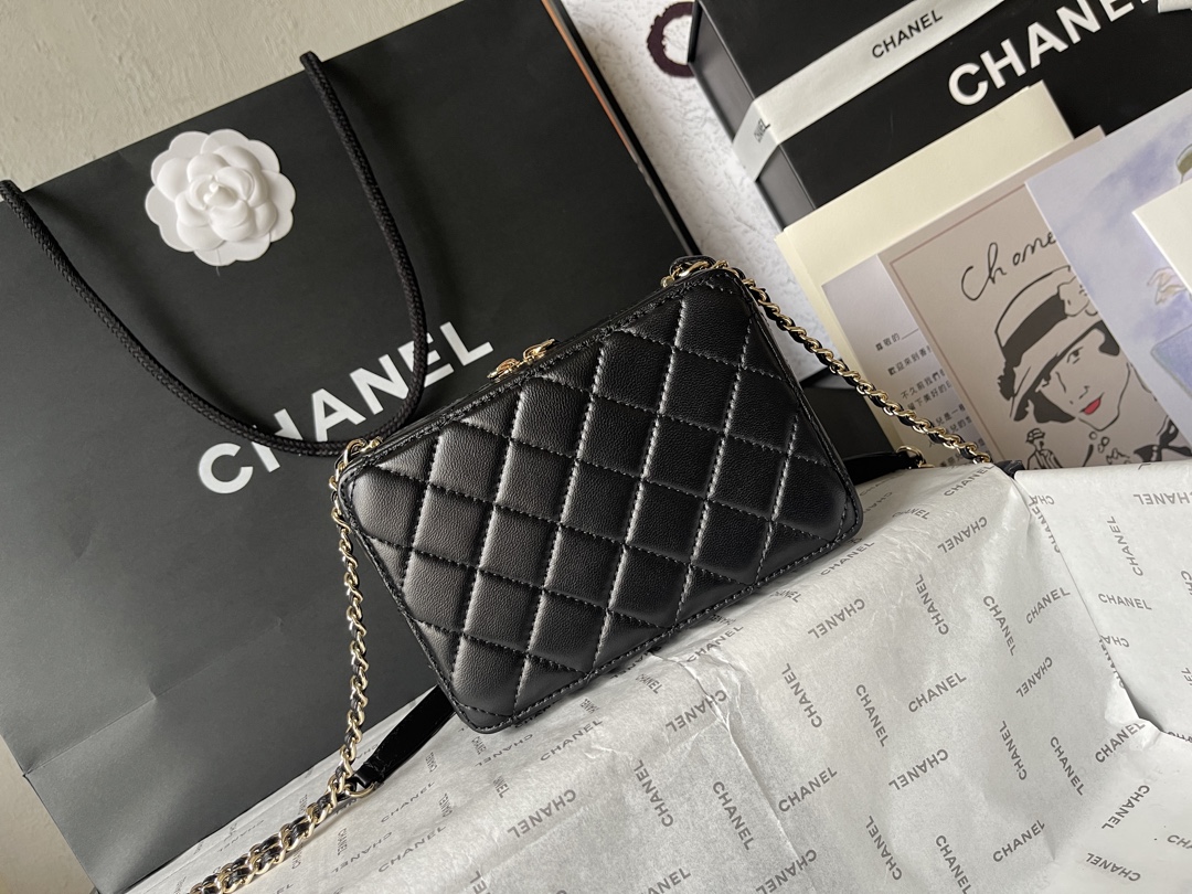 CHANEL Camera bag Sheep leather and gold metal Black-AS4817