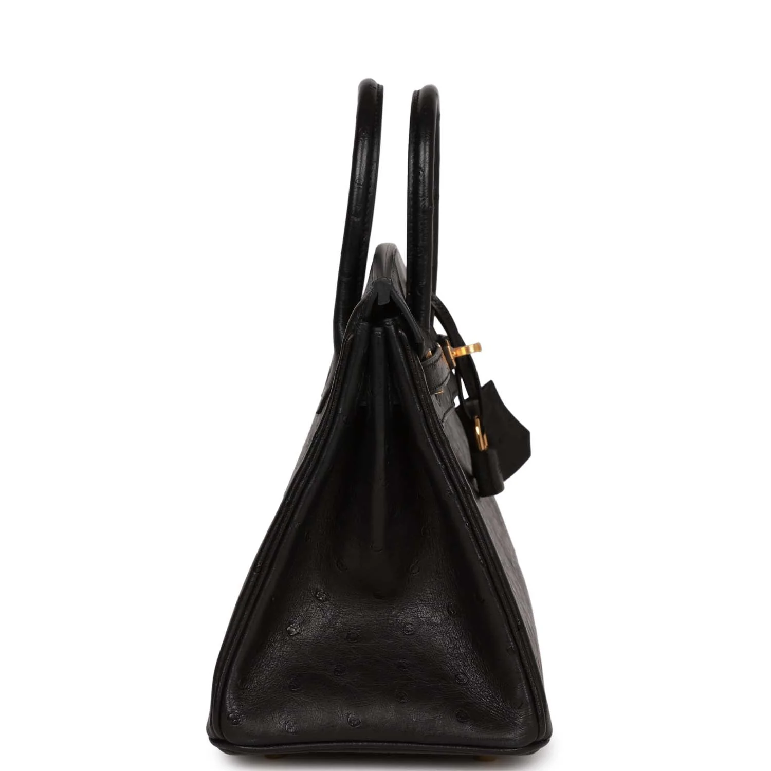 Her Birkin 25 Black Ostrich Gold Hardware