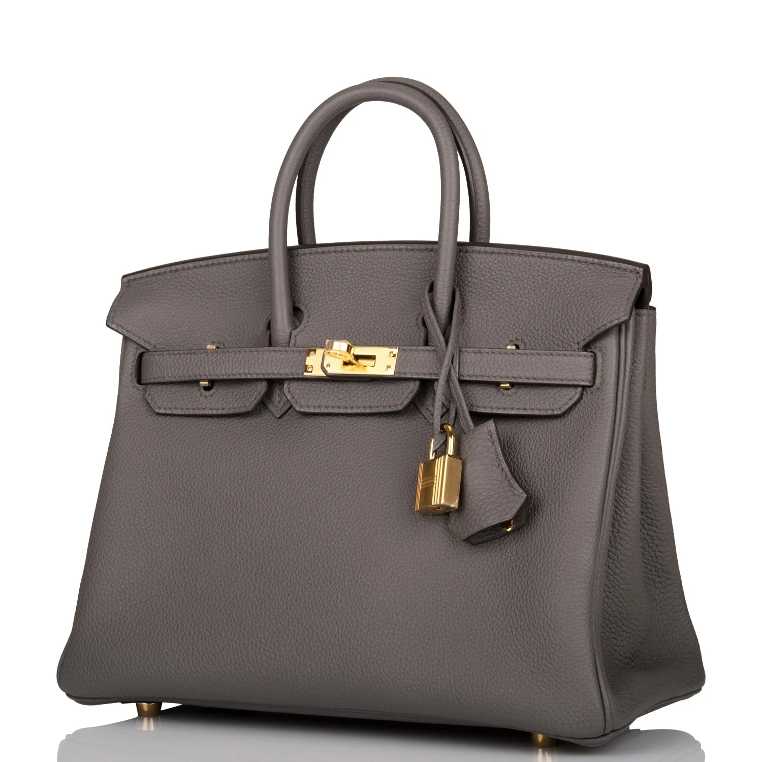 Her Birkin 25 Etain Togo Gold Hardware