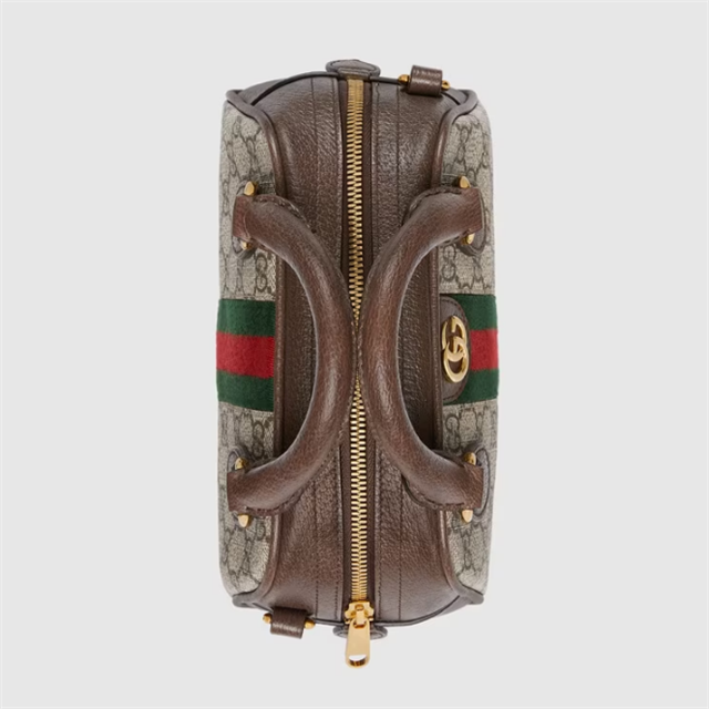 Ophidia mini GG top handle bag