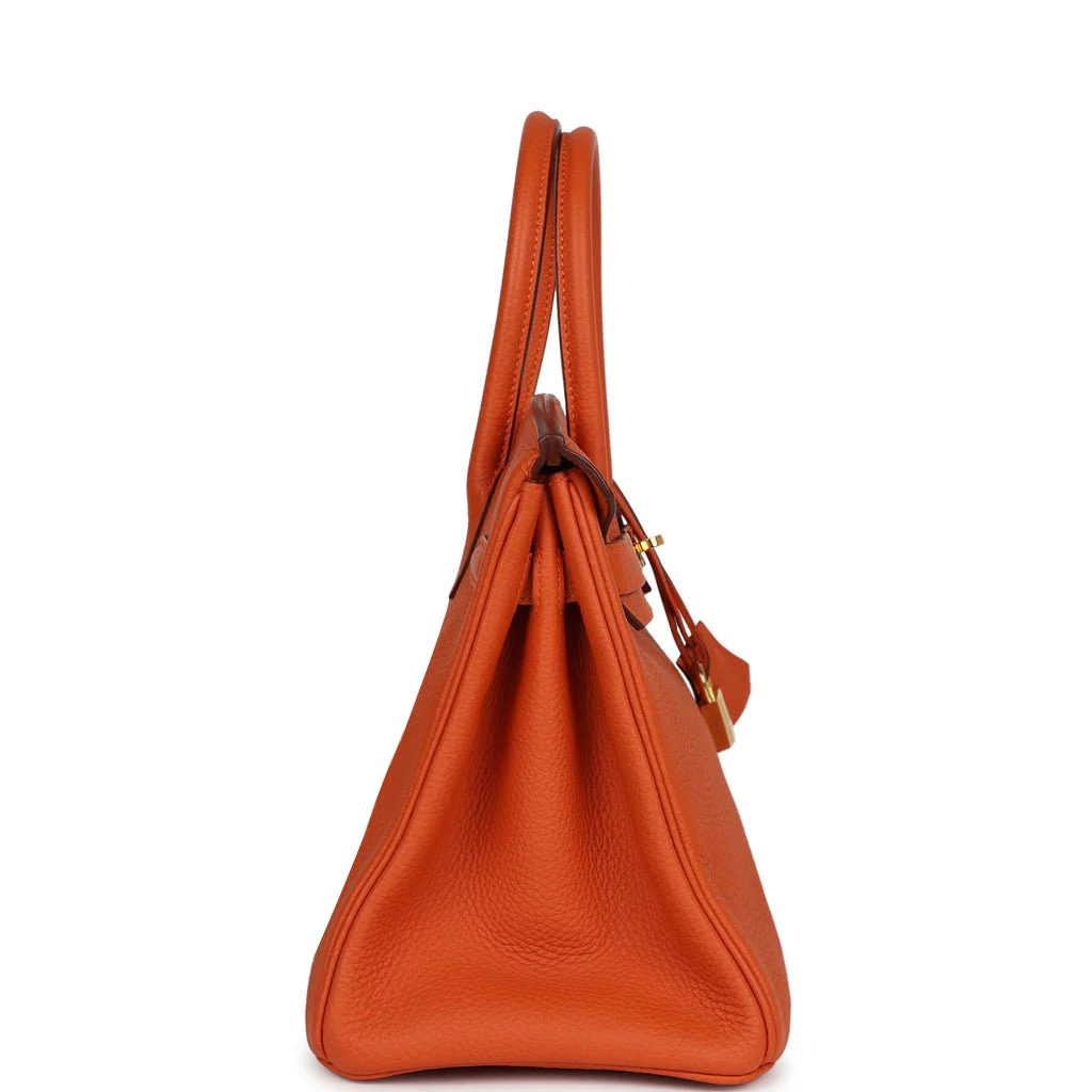 Her Birkin 30 Orange Togo Gold Hardware