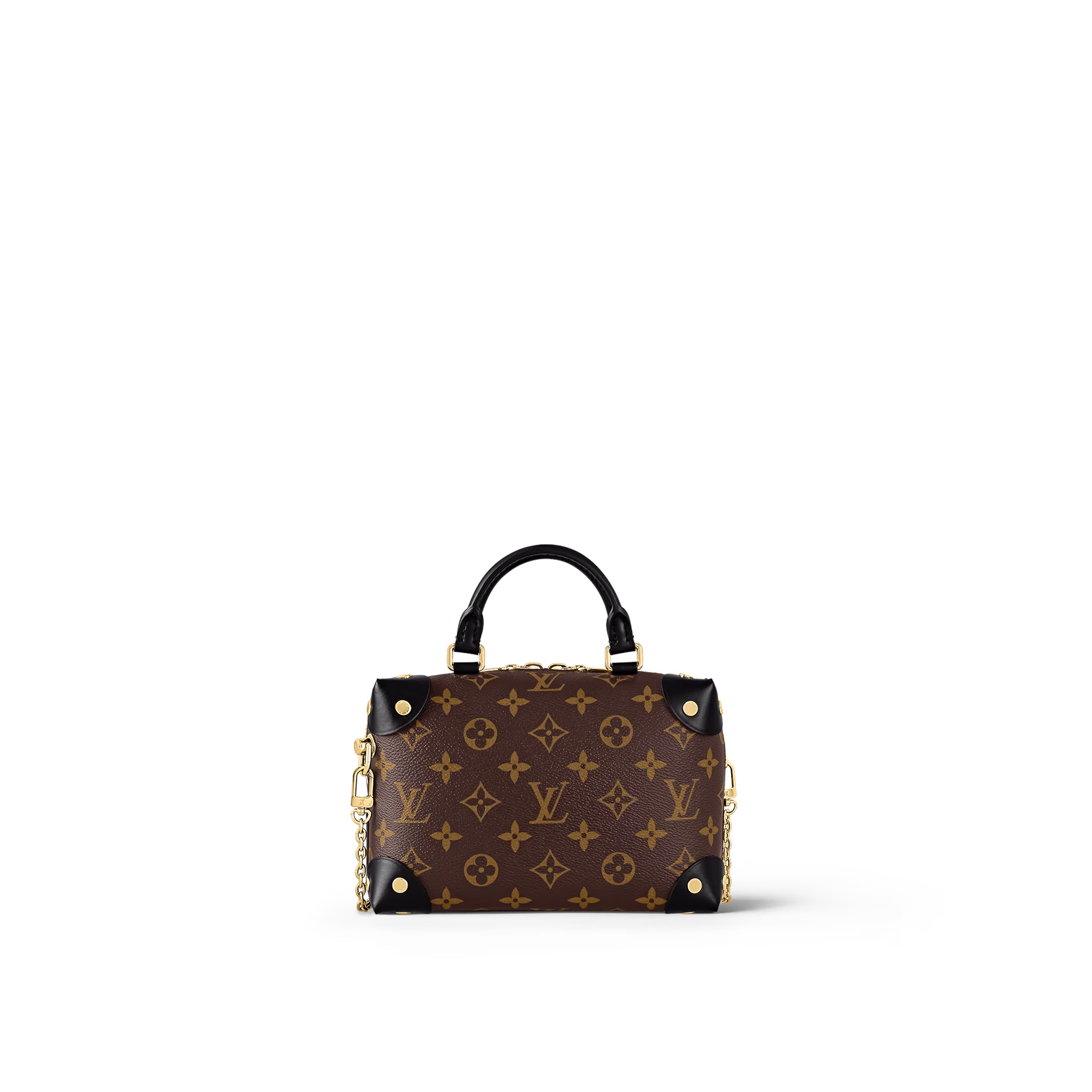 Petite Malle Souple M45571