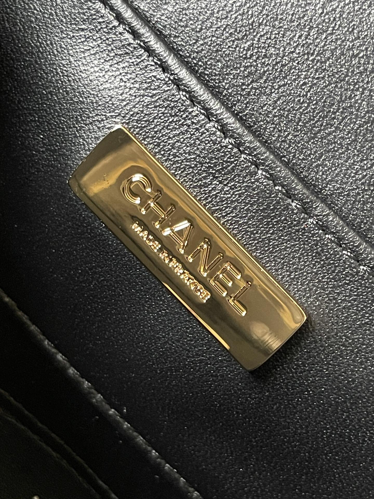 CHANEL Camera bag Sheep leather and gold metal Black-AS4817