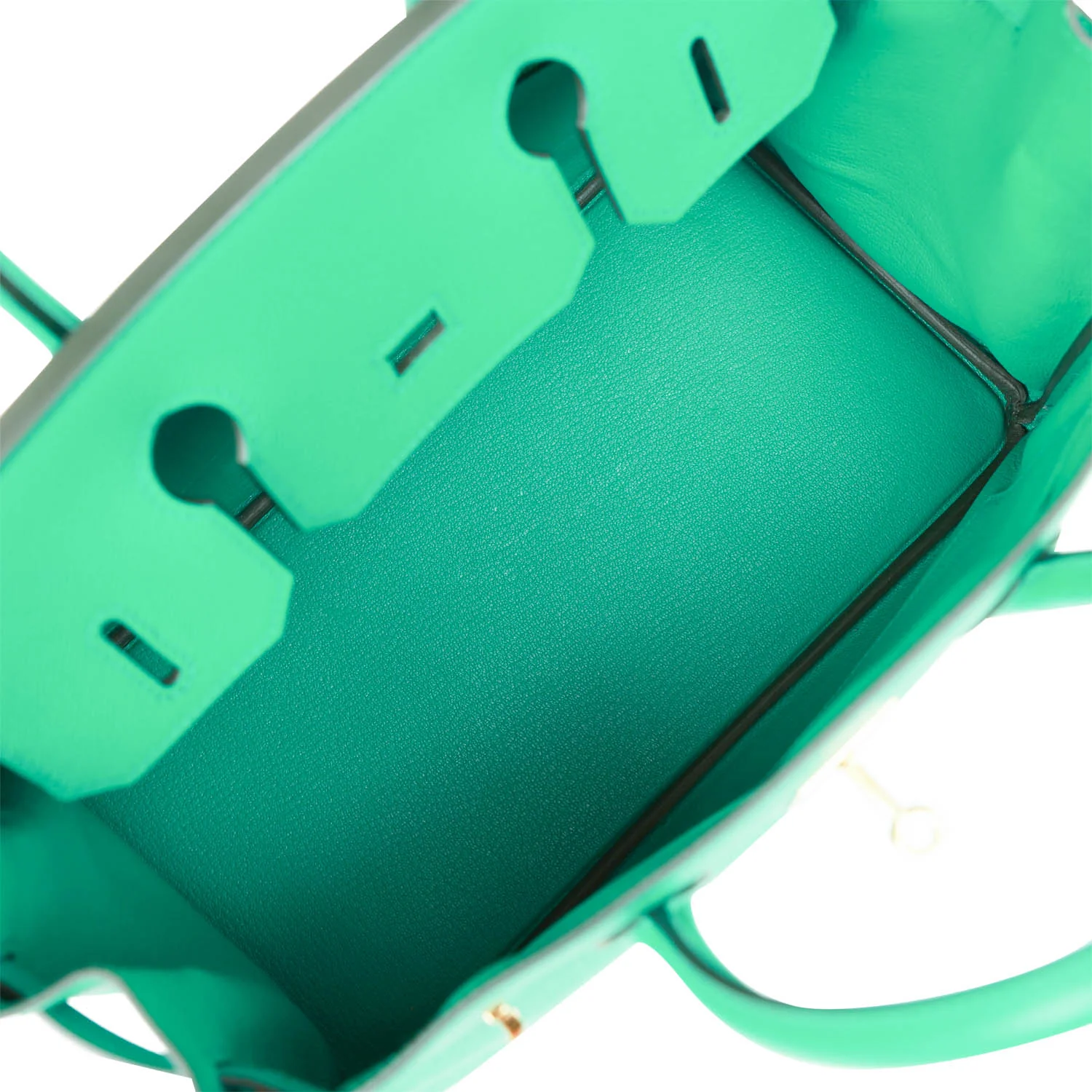 Her Birkin 30 Vert Jade Epsom Gold Hardware