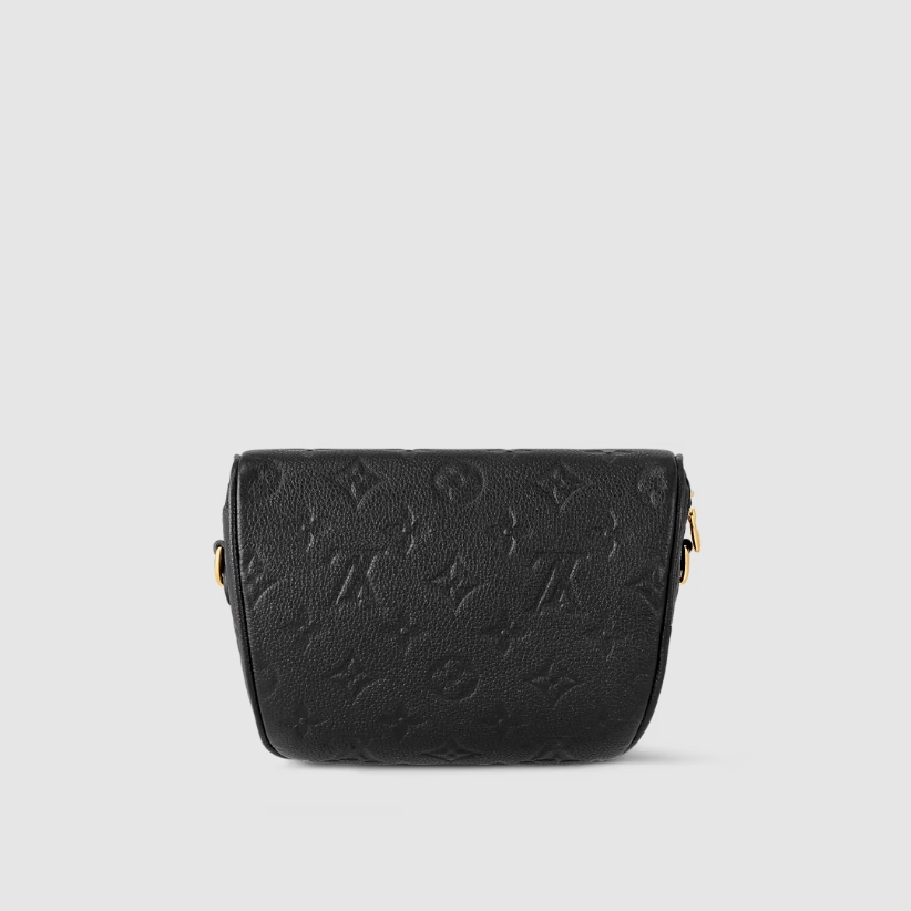 Mini Bumbag M46917