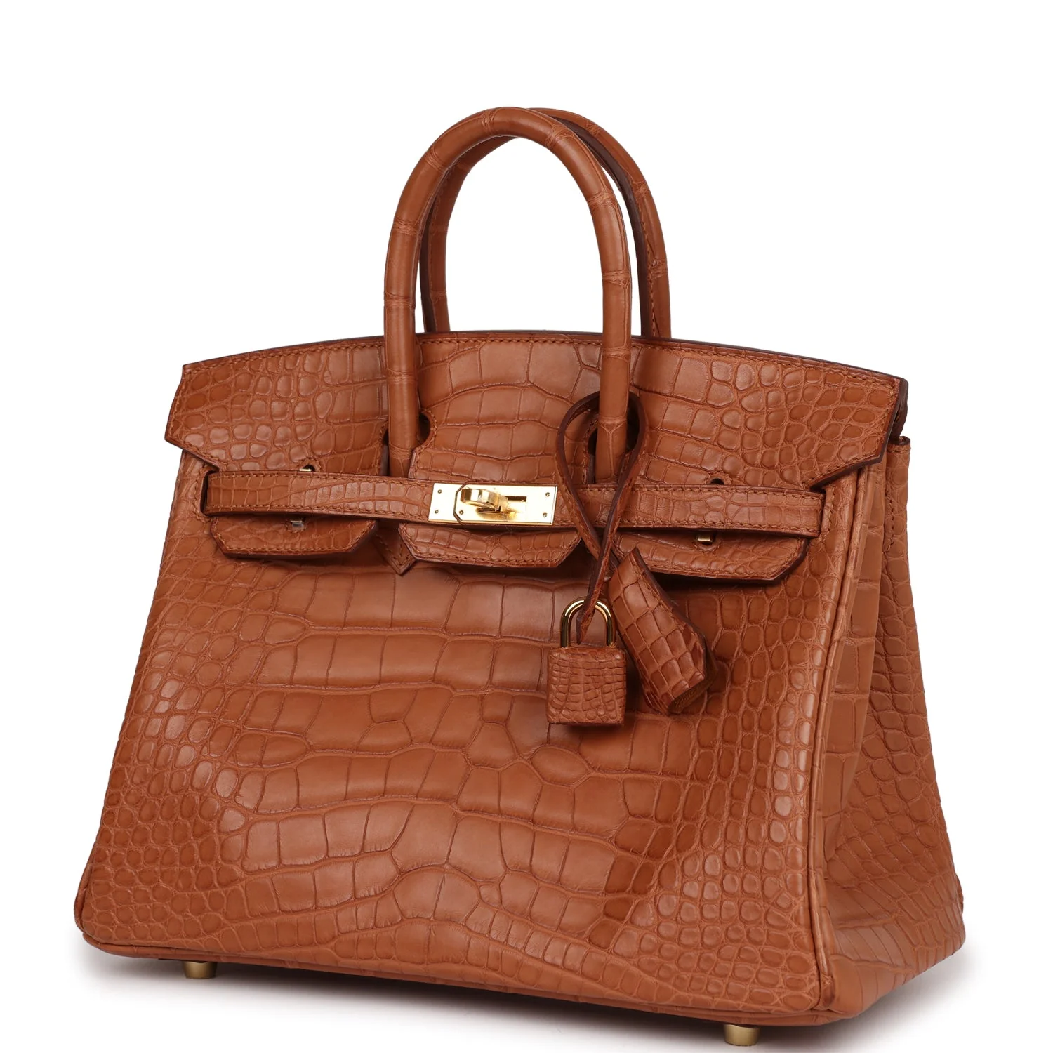 Her Birkin 25 Gold Matte Alligator Gold Hardware