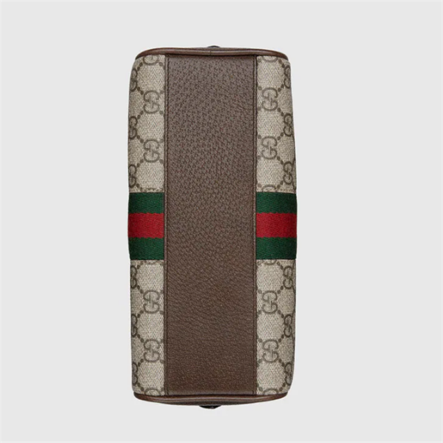 Ophidia mini GG top handle bag