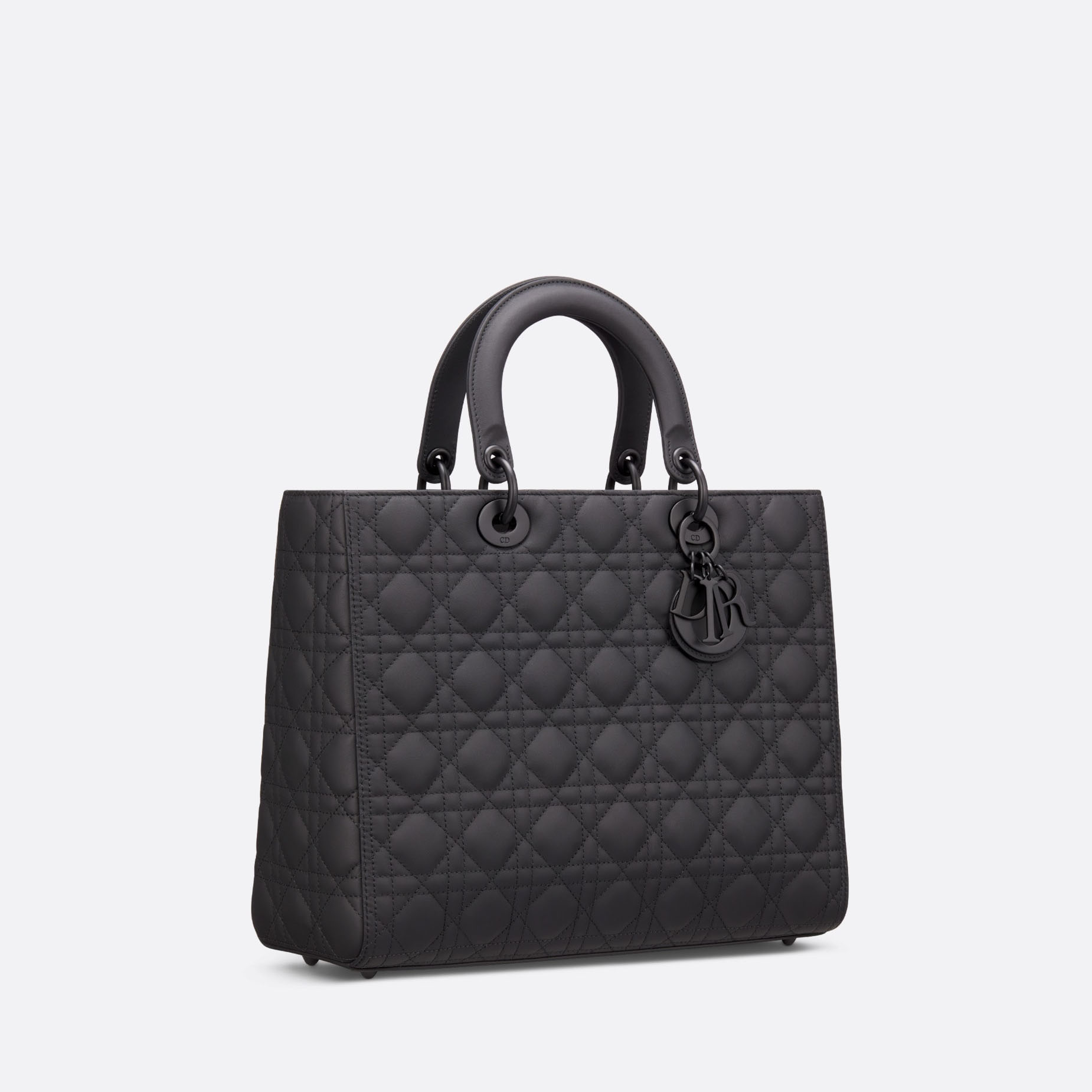 LARGE LADY  BAG