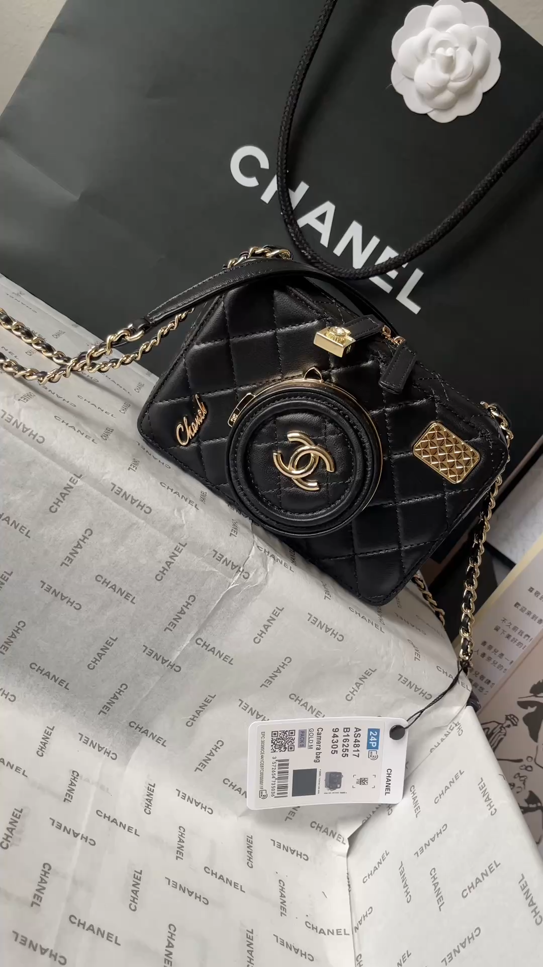 CHANEL Camera bag Sheep leather and gold metal Black-AS4817