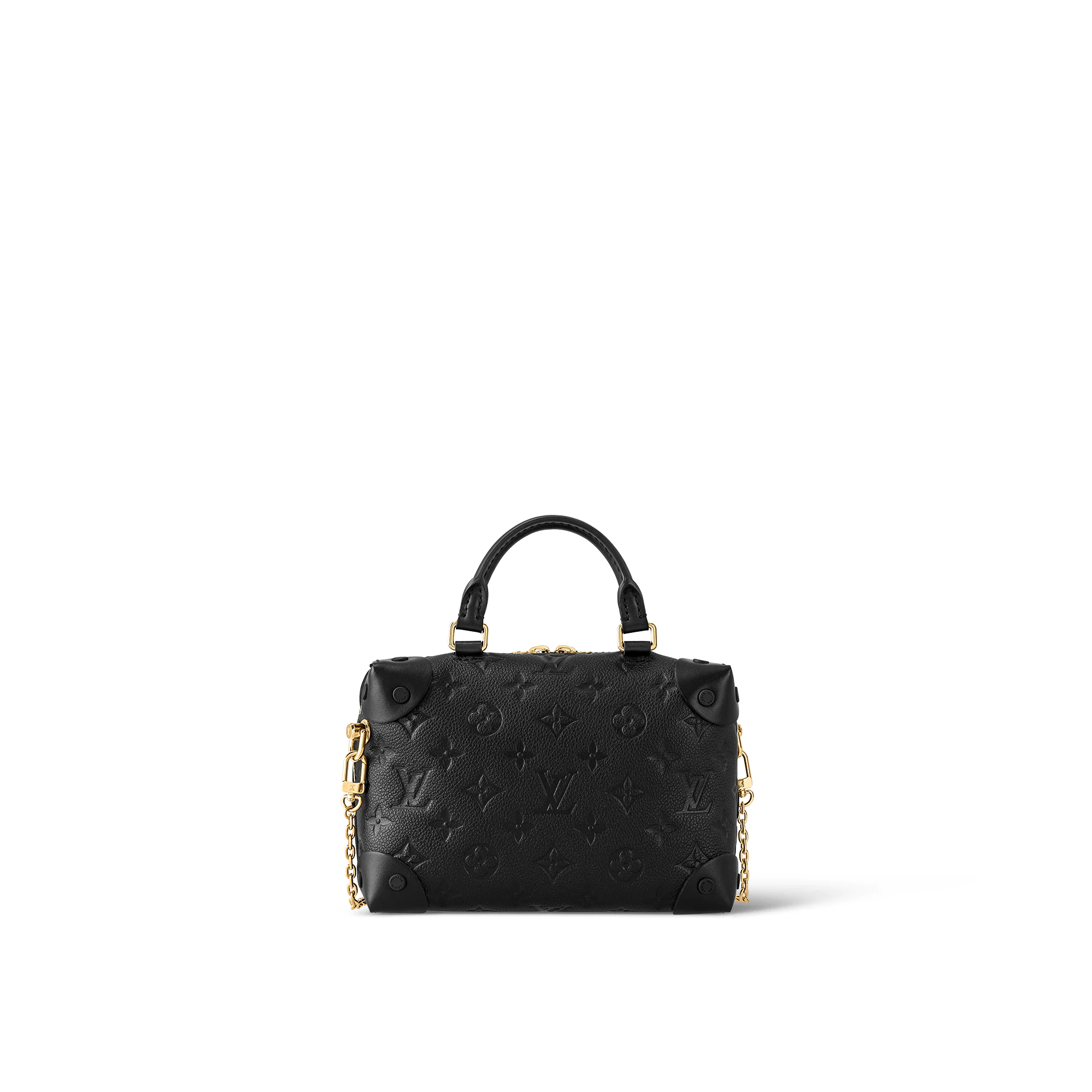 Petite Malle Souple M45393