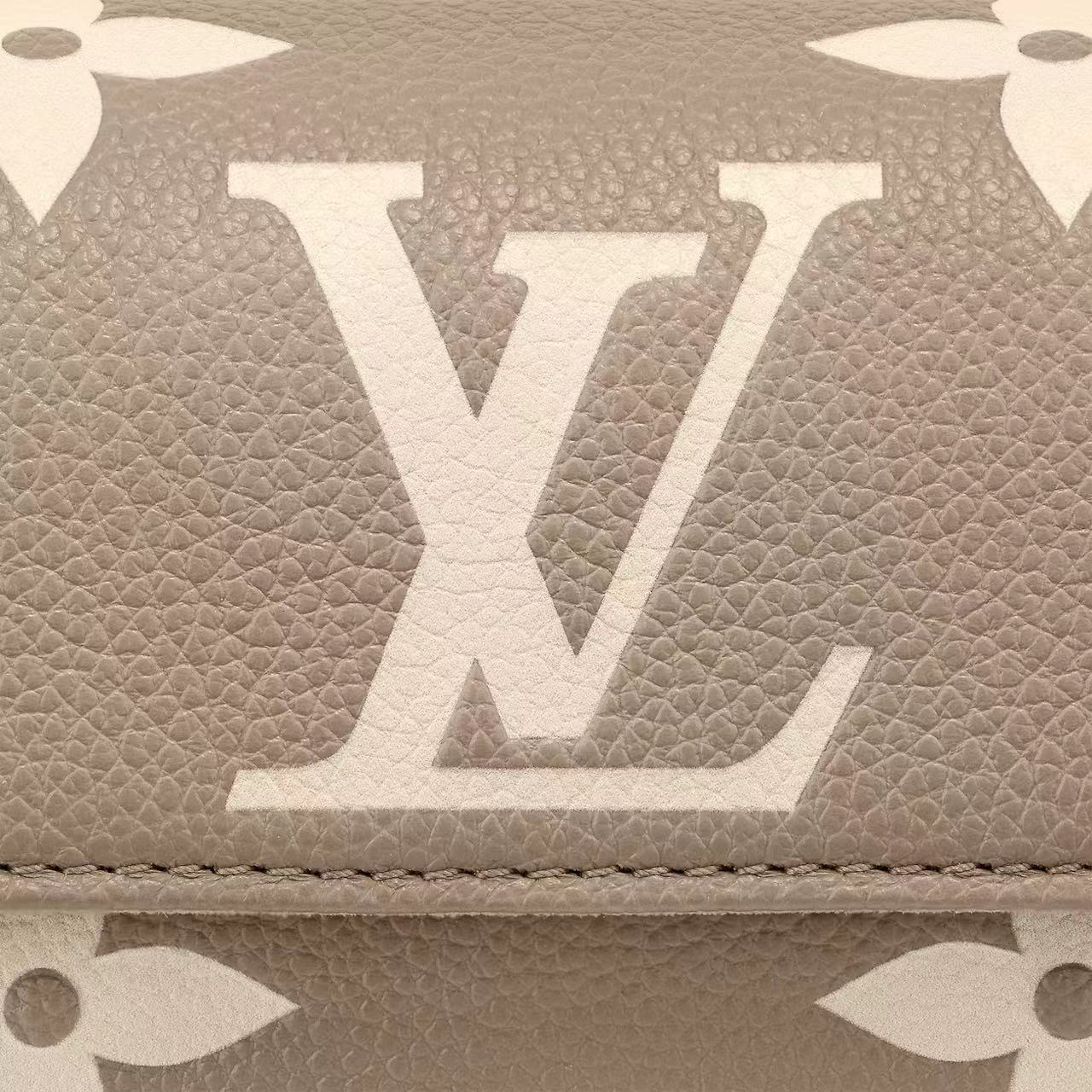 Wallet On Chain Ivy M82211