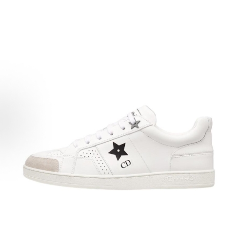 DIOR Star thick-soled shoes CD logo Low-top lace-up low-top fashion board shoes for women in white