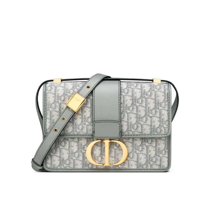 DIOR Oblique 30 Montaigne Flap Bag