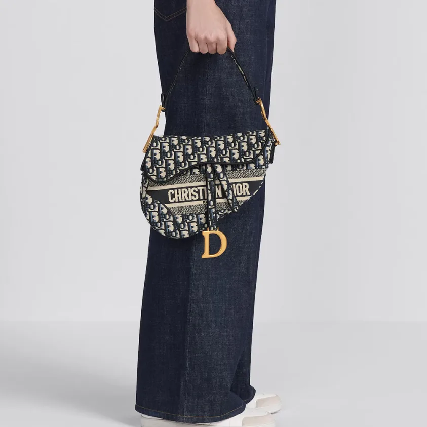 Dior SADDLE Bag Oblique Embroidered