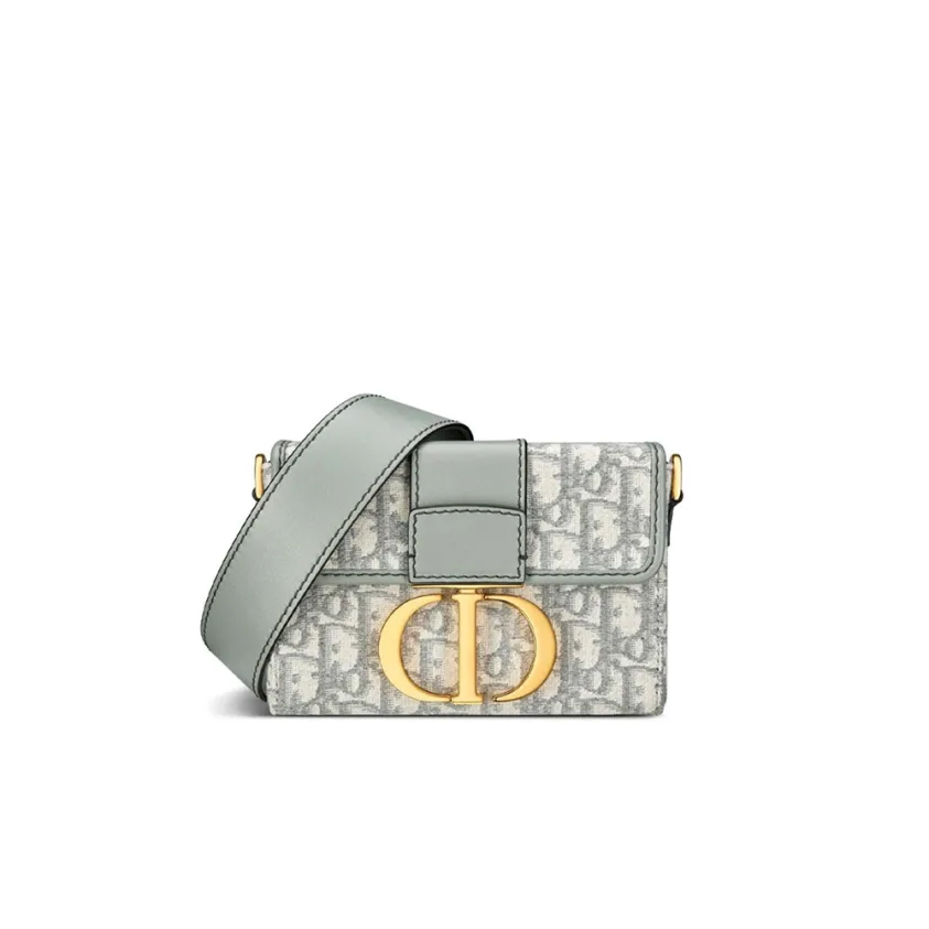 DIOR Oblique 30 Montaigne Flap Bag