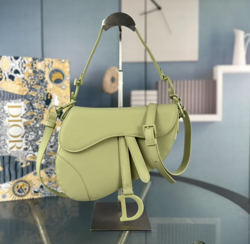 Dior Saddle Bag Matte Leather Shoulder Bag