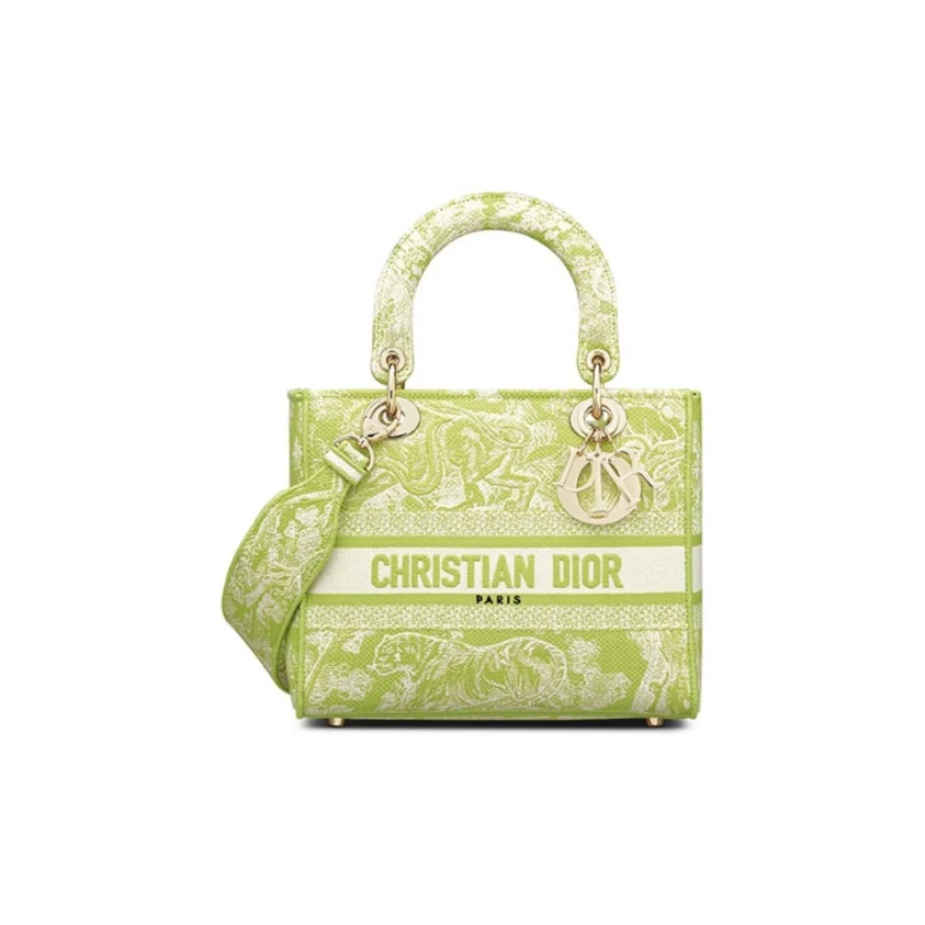 Dior Medium Lady D-Lite Bag