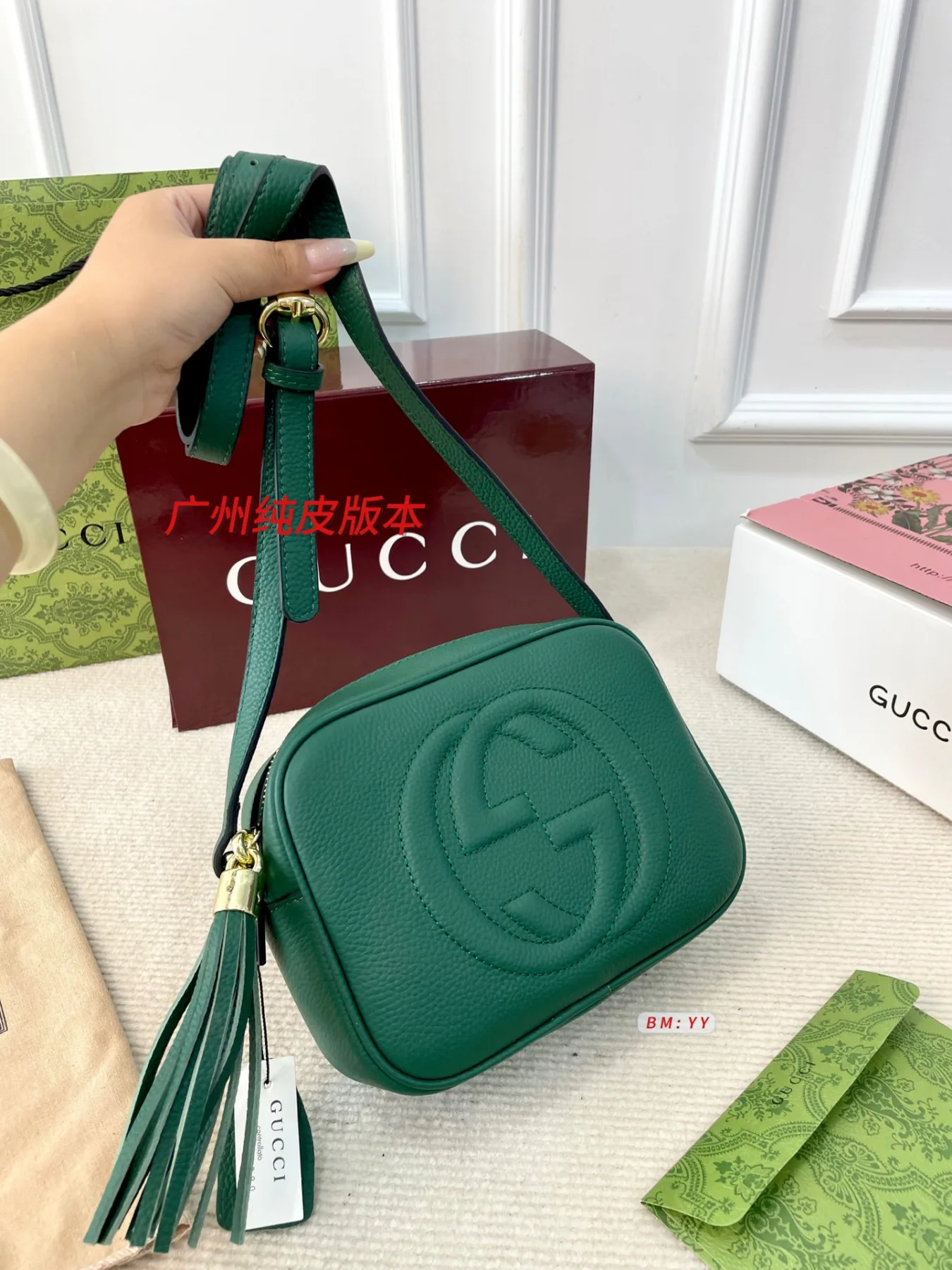 GUCCI Crossbody Camera Bag