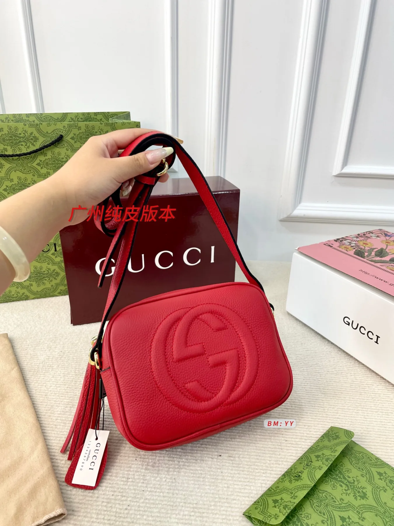 GUCCI Crossbody Camera Bag