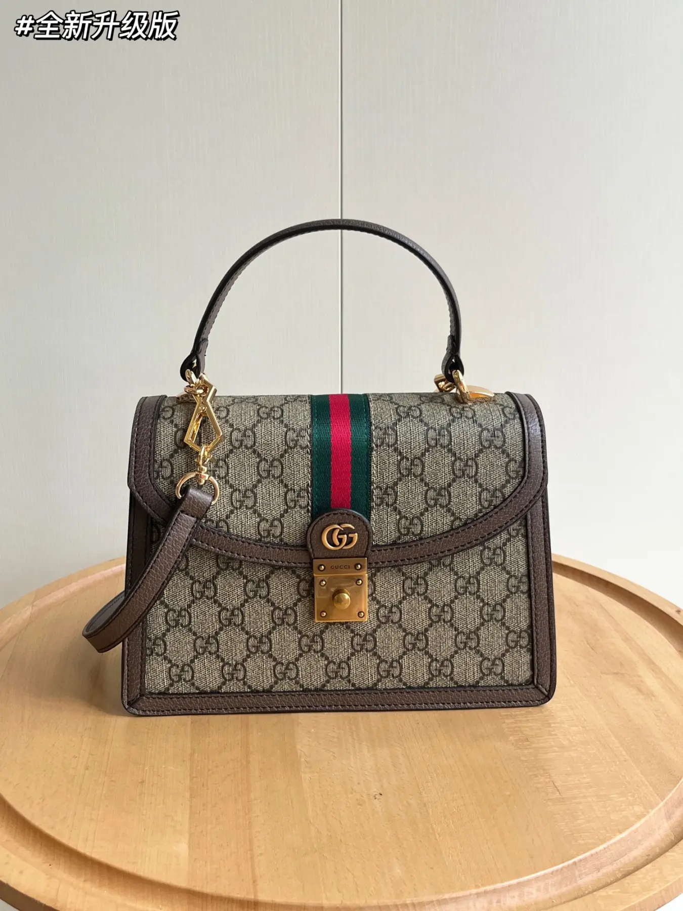 Gucci Ophidia Collection. Style: 651055