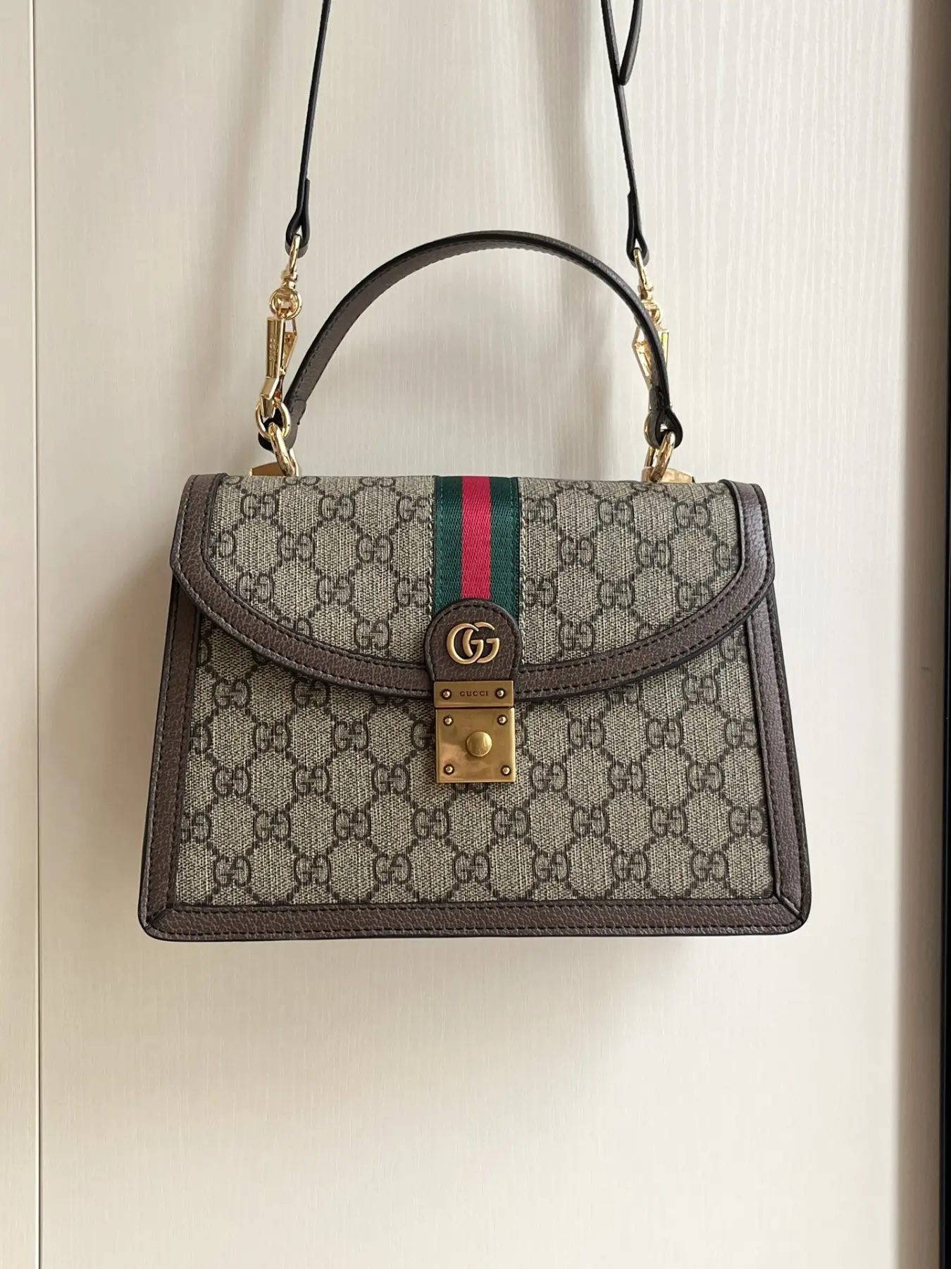 Gucci Ophidia Collection. Style: 651055