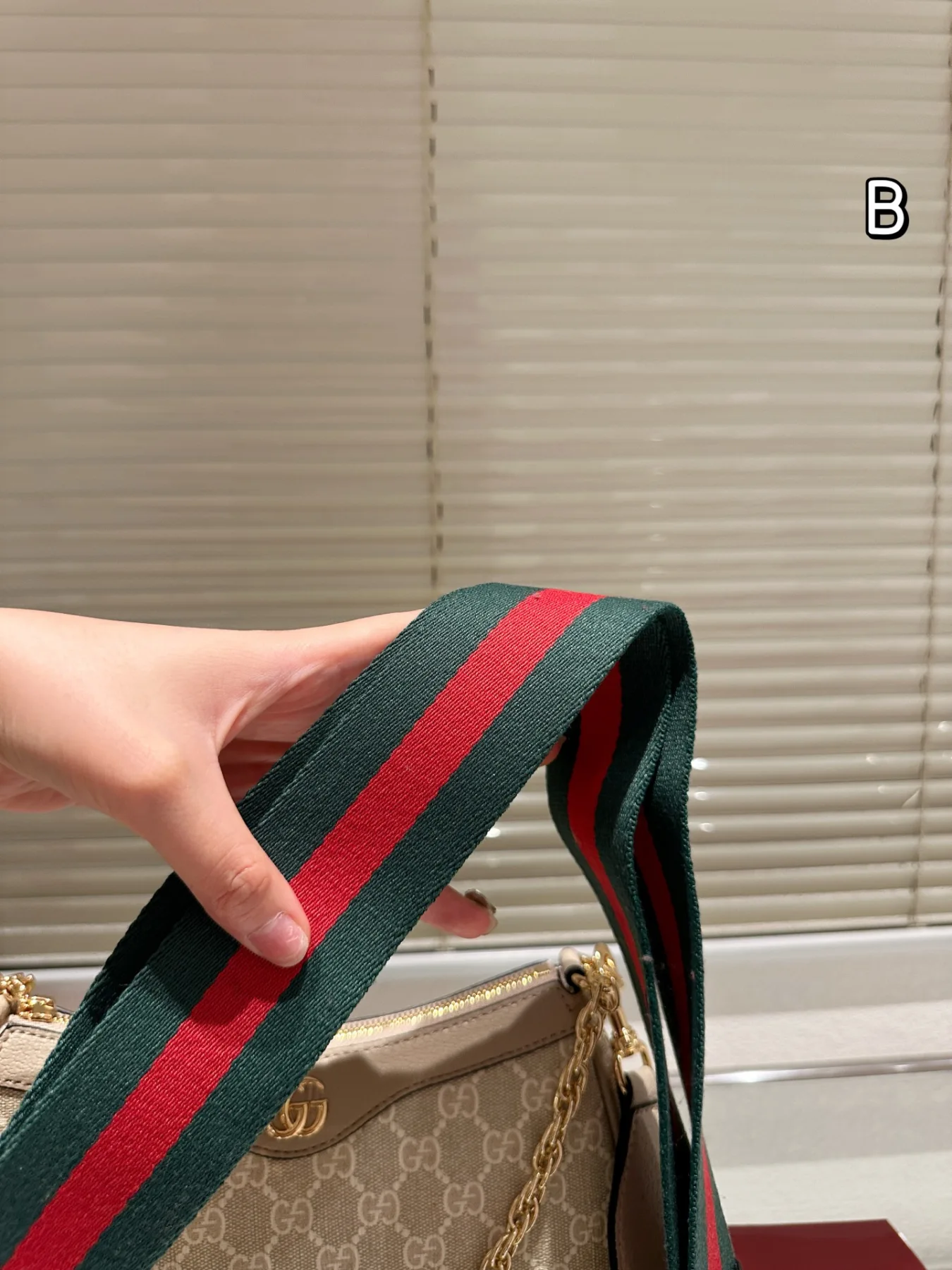 Gucci's new Ophidia 25-inch underarm bag