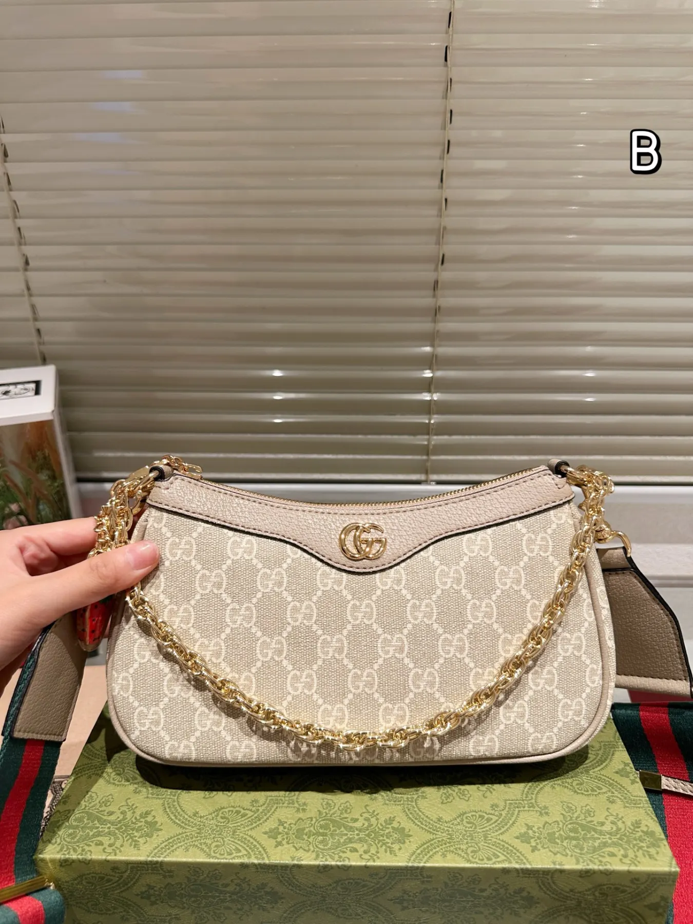 Gucci's new Ophidia 25-inch underarm bag
