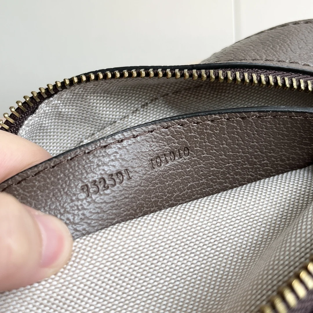 Gucci Ophidia Small Shoulder Bag Model: 752591