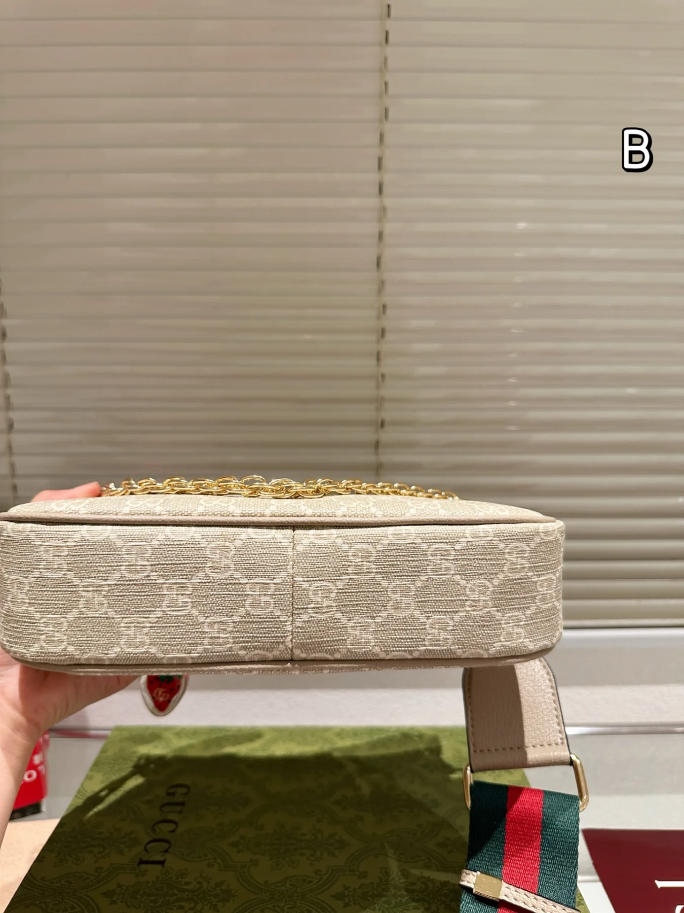 Gucci's new Ophidia 25-inch underarm bag