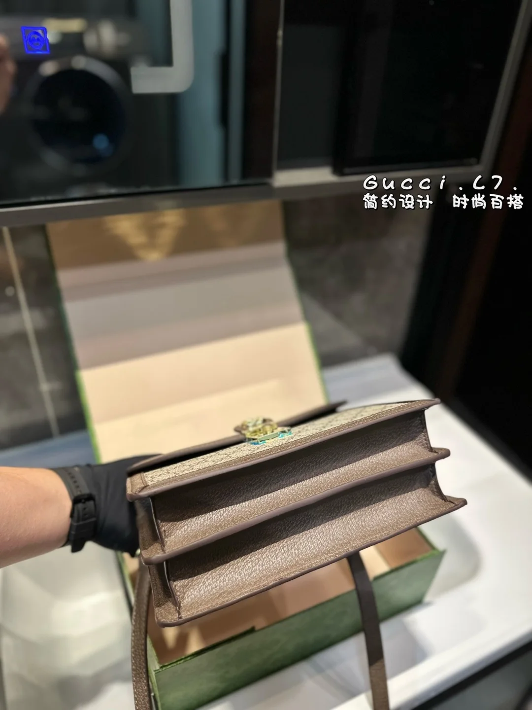 Gucci Ophidia Collection