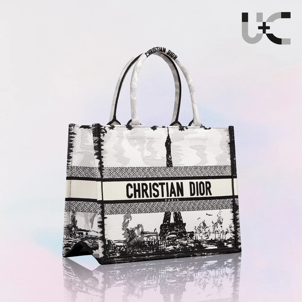 Dior Book Tote Paris Medium Bag