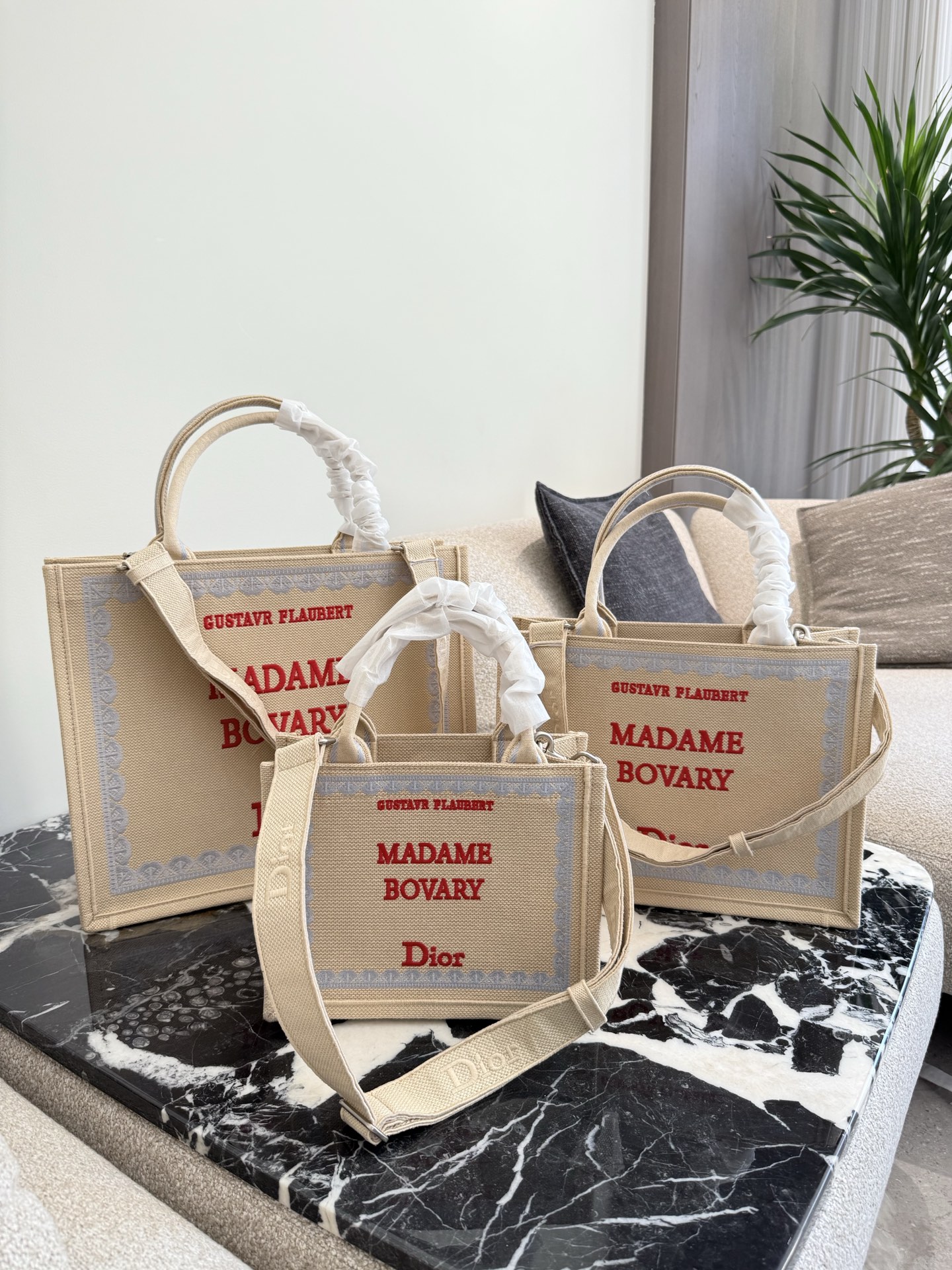 DIOR Book Tote Jonathan Anderson 10A