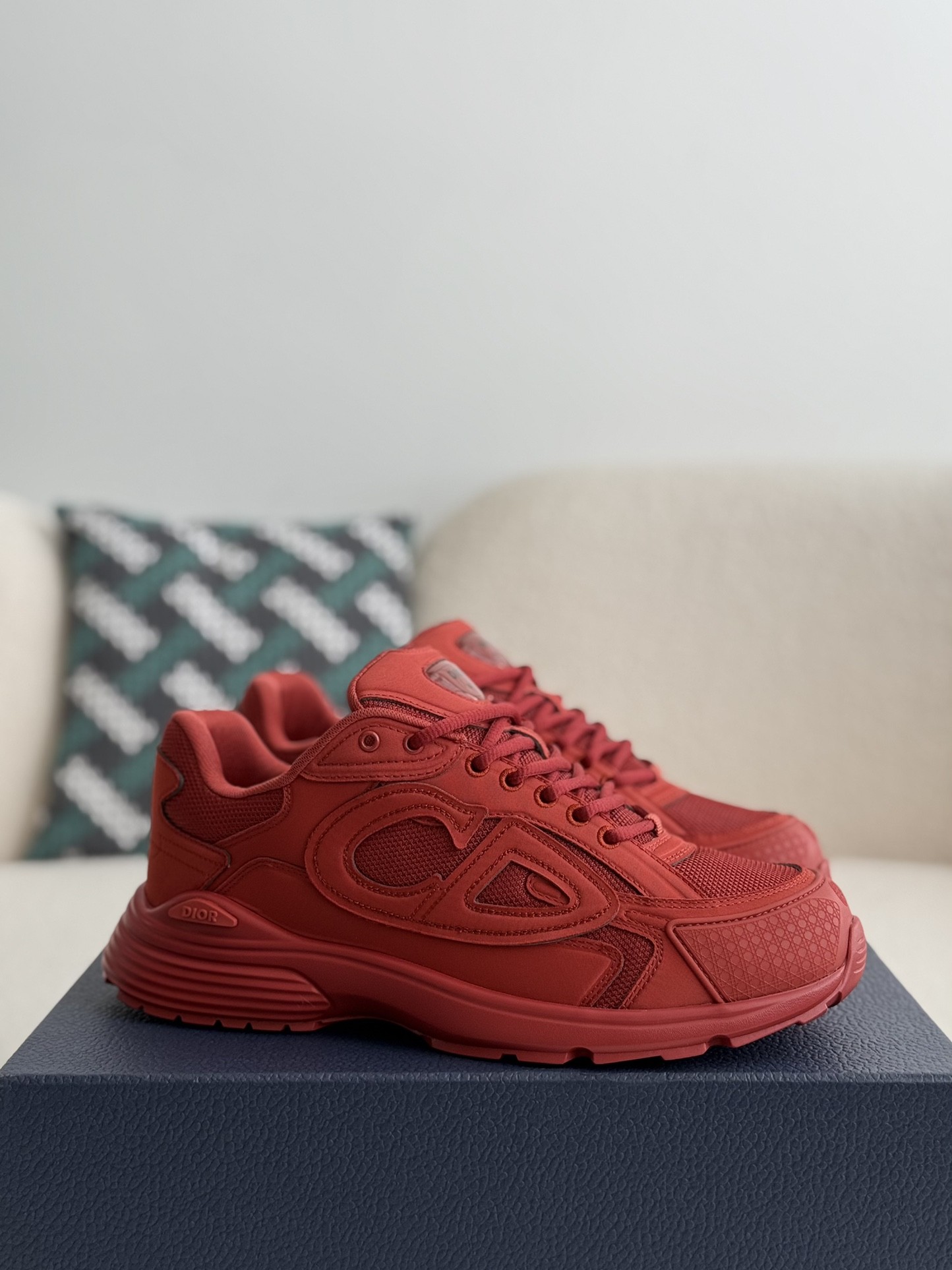 Dior B30 New Sneaker Shoes