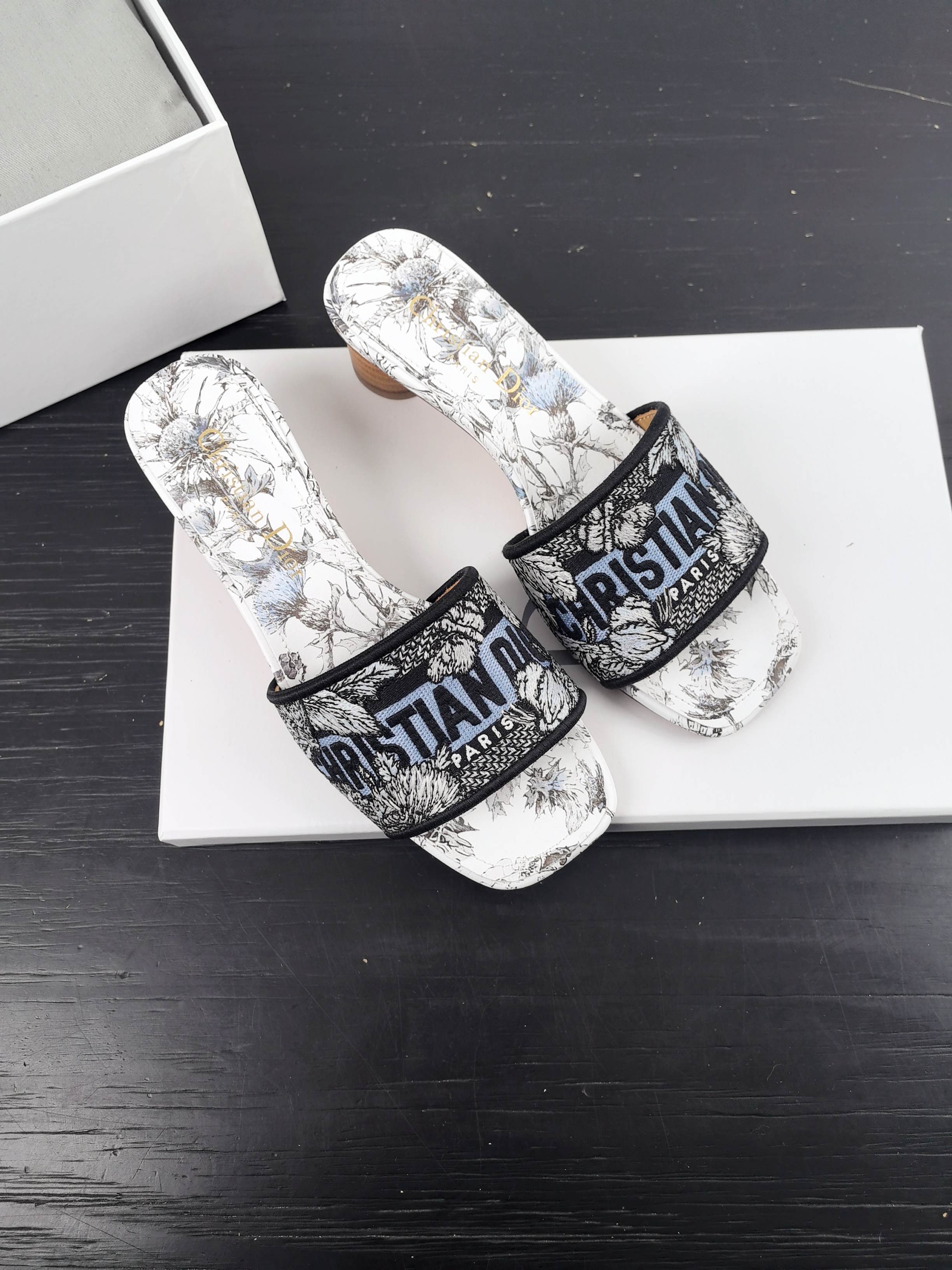 Dior Slipper Sandals Low Heel Shoes