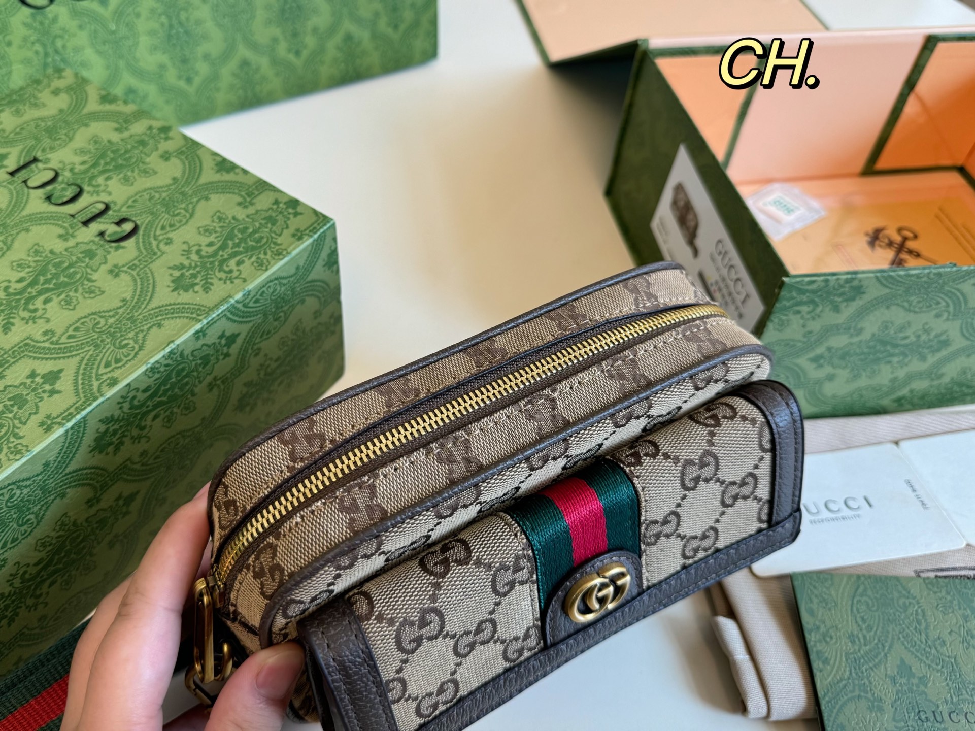 GUCCI New Ophidia Camera Bag