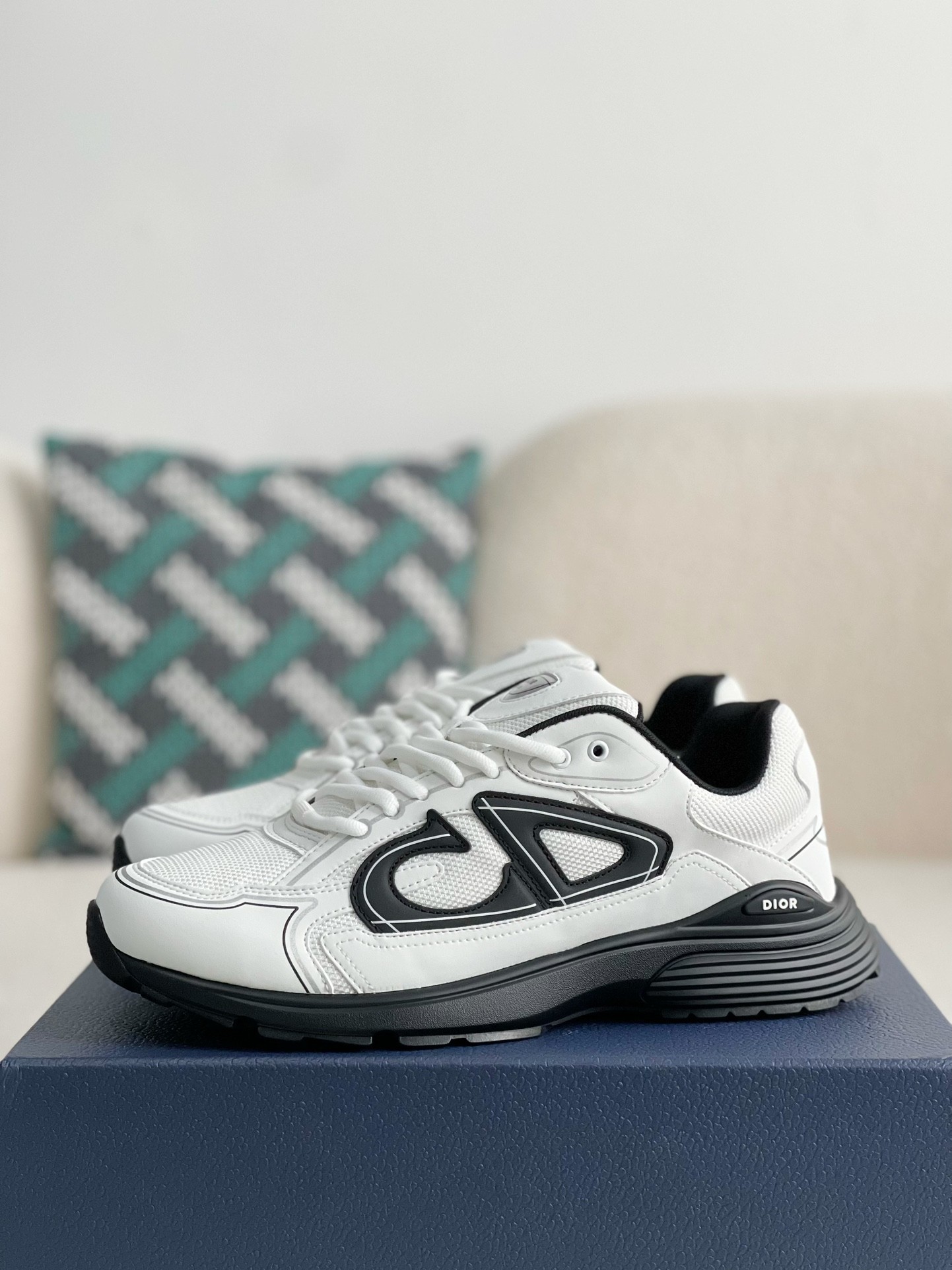Dior B30 New Sneaker Shoes