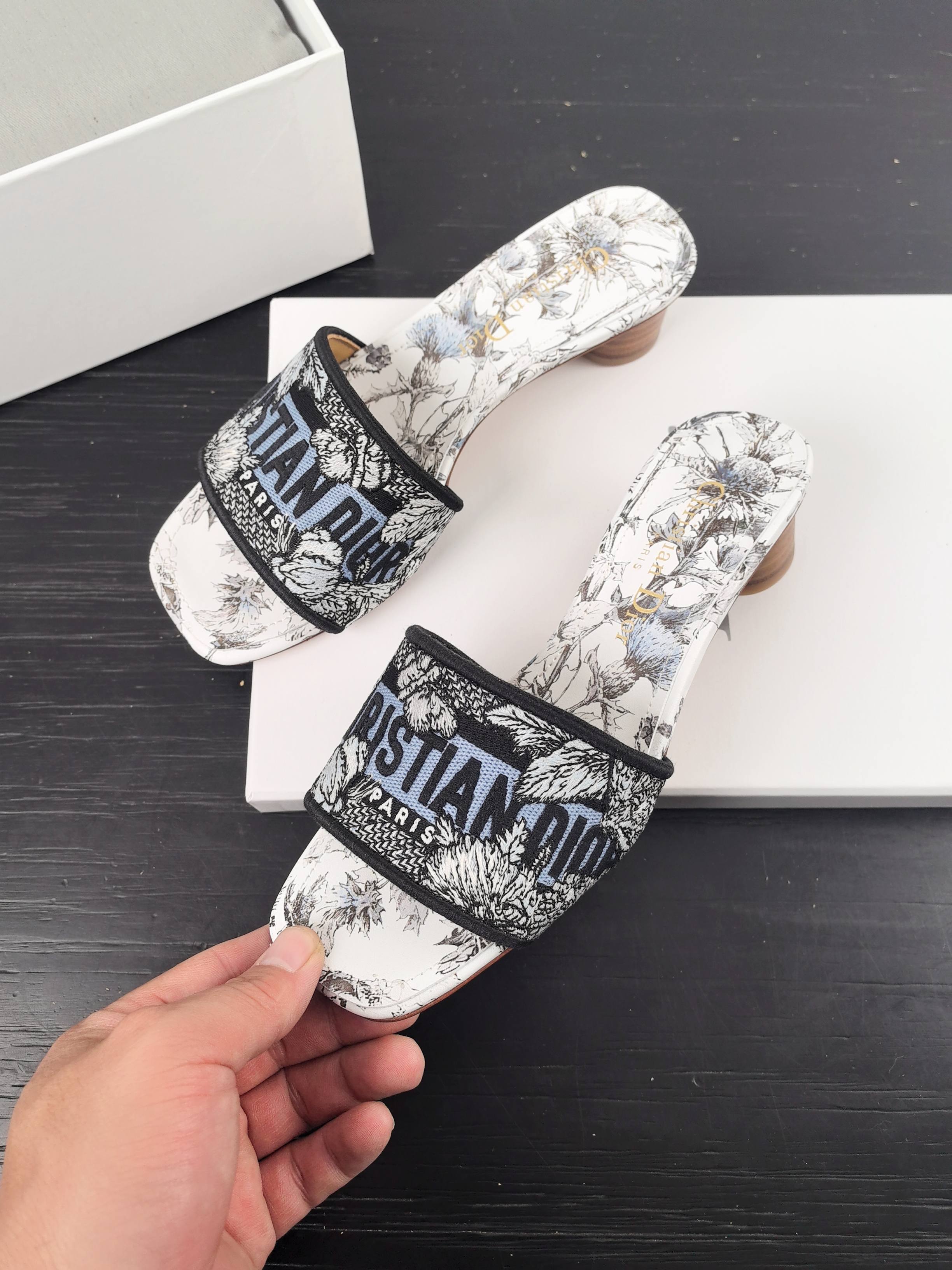 Dior Slipper Sandals Low Heel Shoes