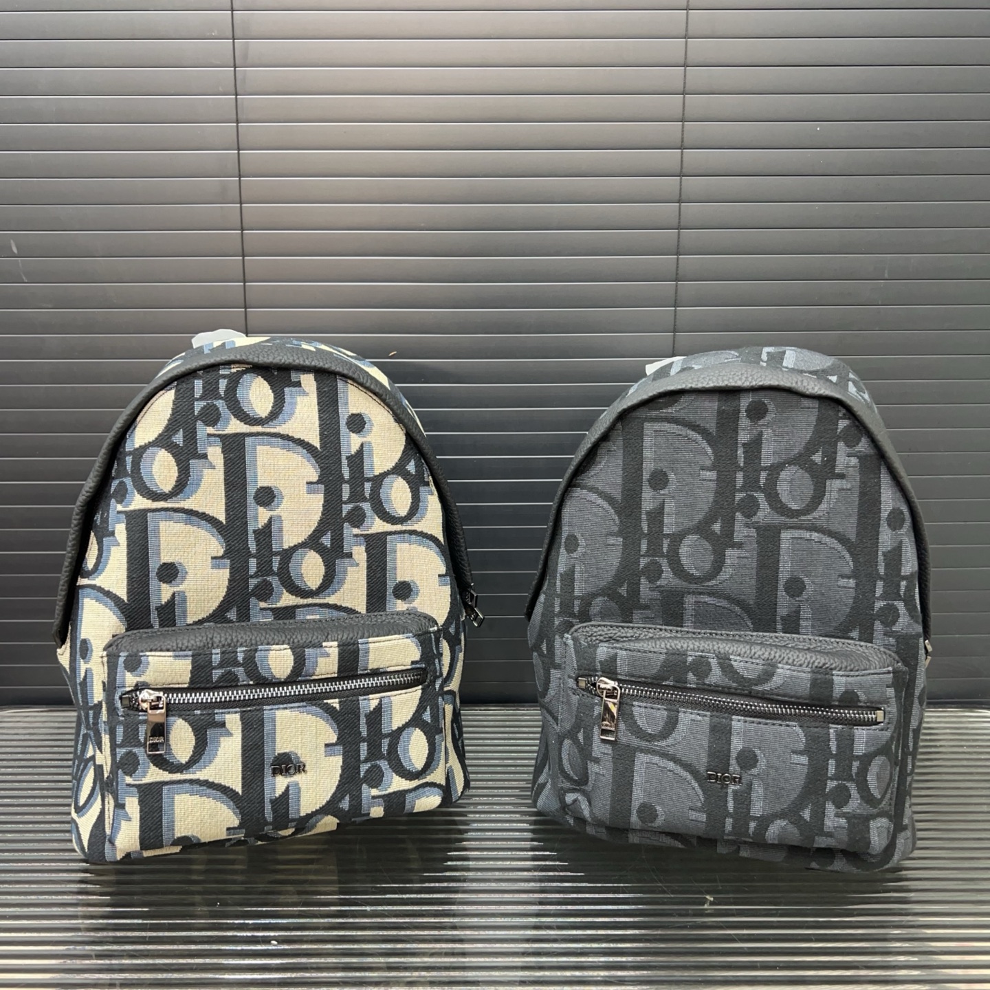 Dior Rider Backpack 10A