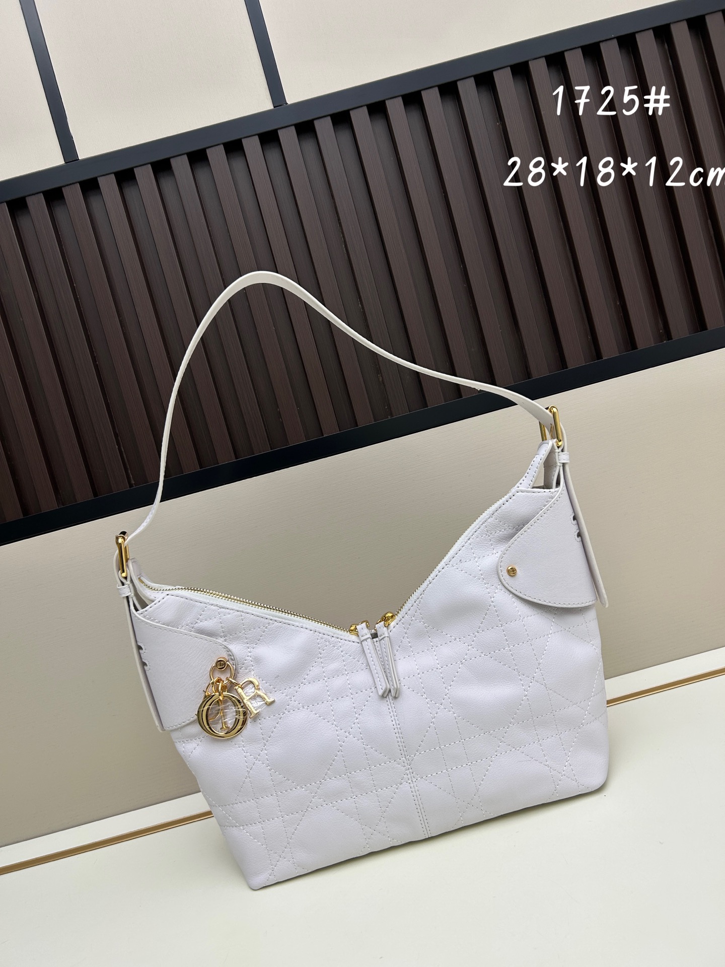 Dior Voyage 1725 Waxed Leather Crossbody Bag 10A