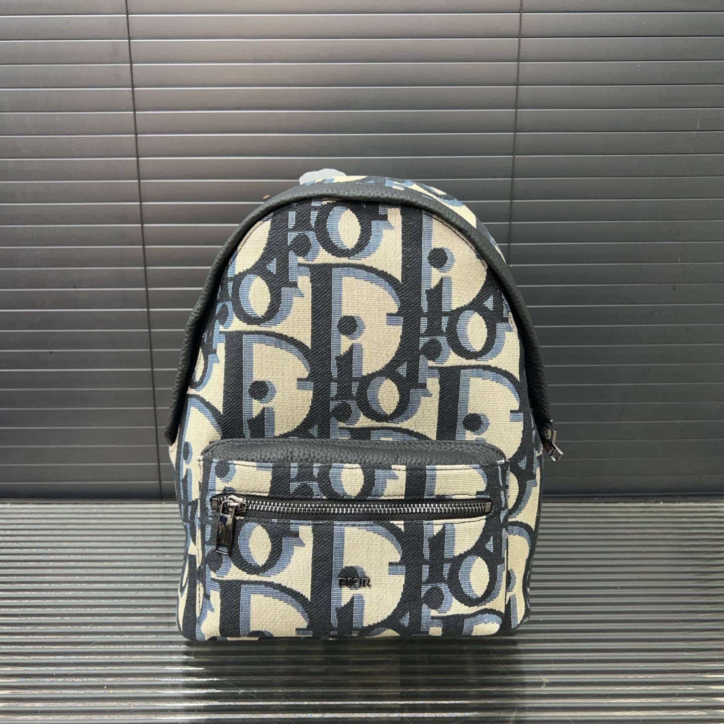 Dior Rider Backpack 10A