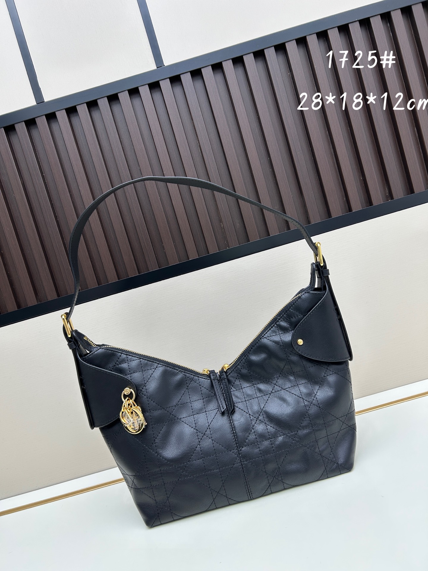 Dior Voyage 1725 Waxed Leather Crossbody Bag 10A