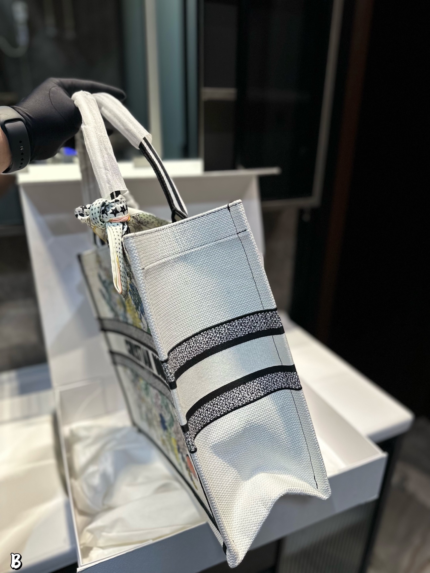 Dior Oblique Tote Bag 10A