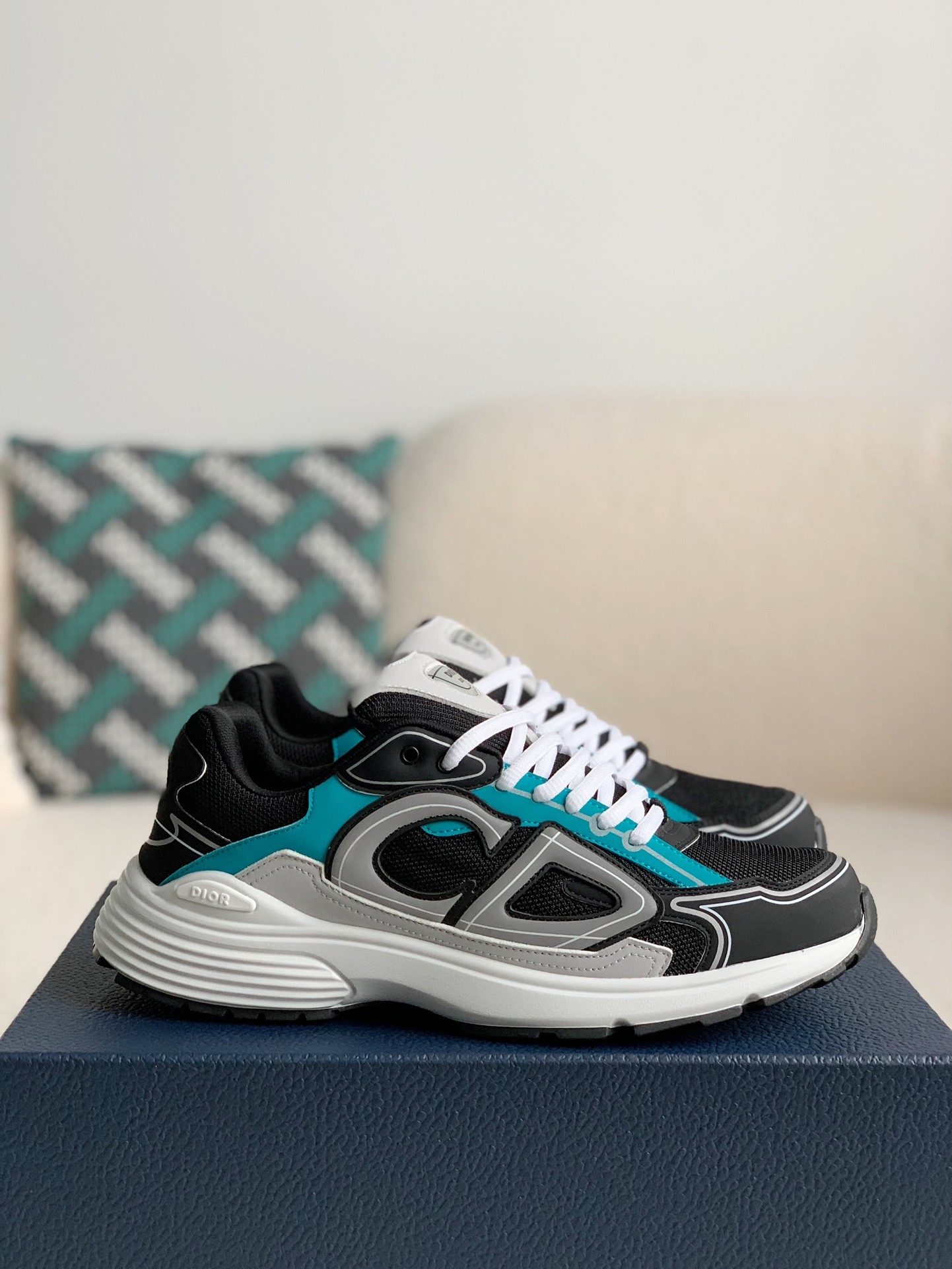 DIOR B30 Clunky Classic Sneaker Shoes