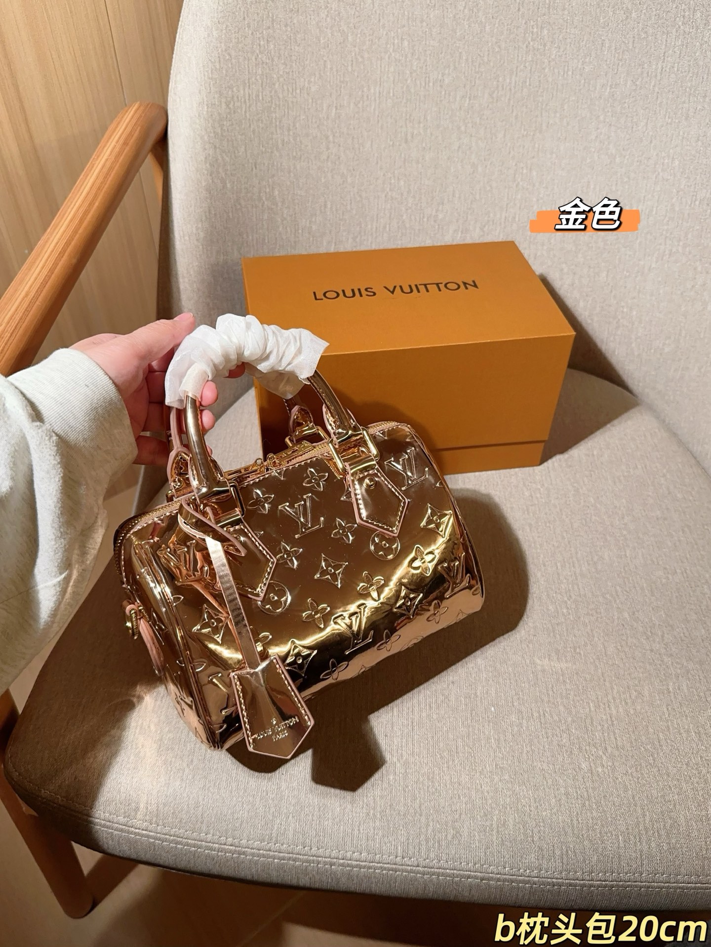LV Speedy 20 Mirror Ski Collection | Pillow Bag