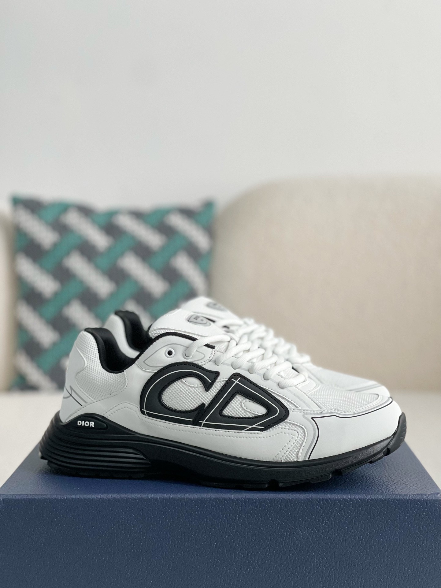 Dior B30 New Sneaker Shoes