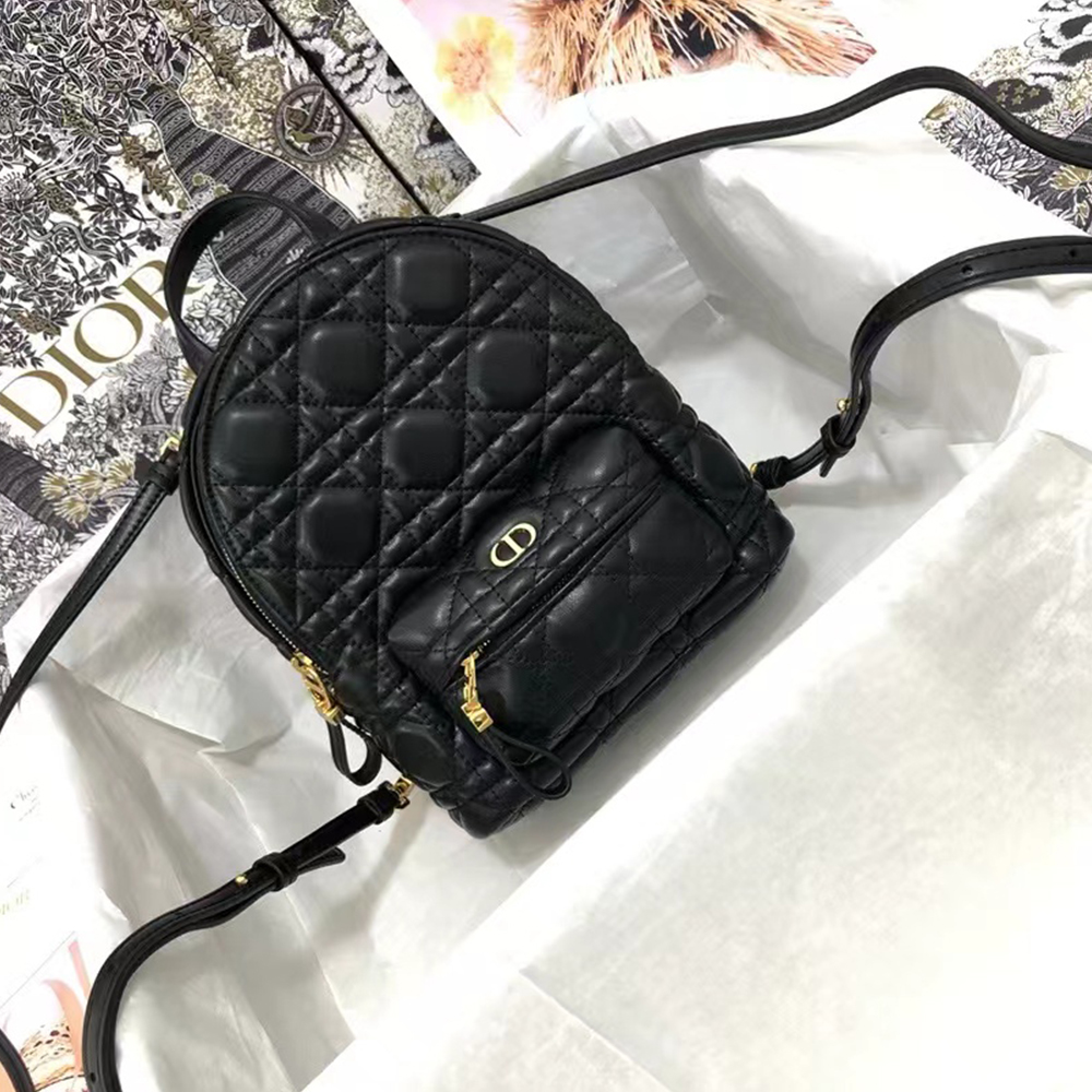 DIOR shoulder bag